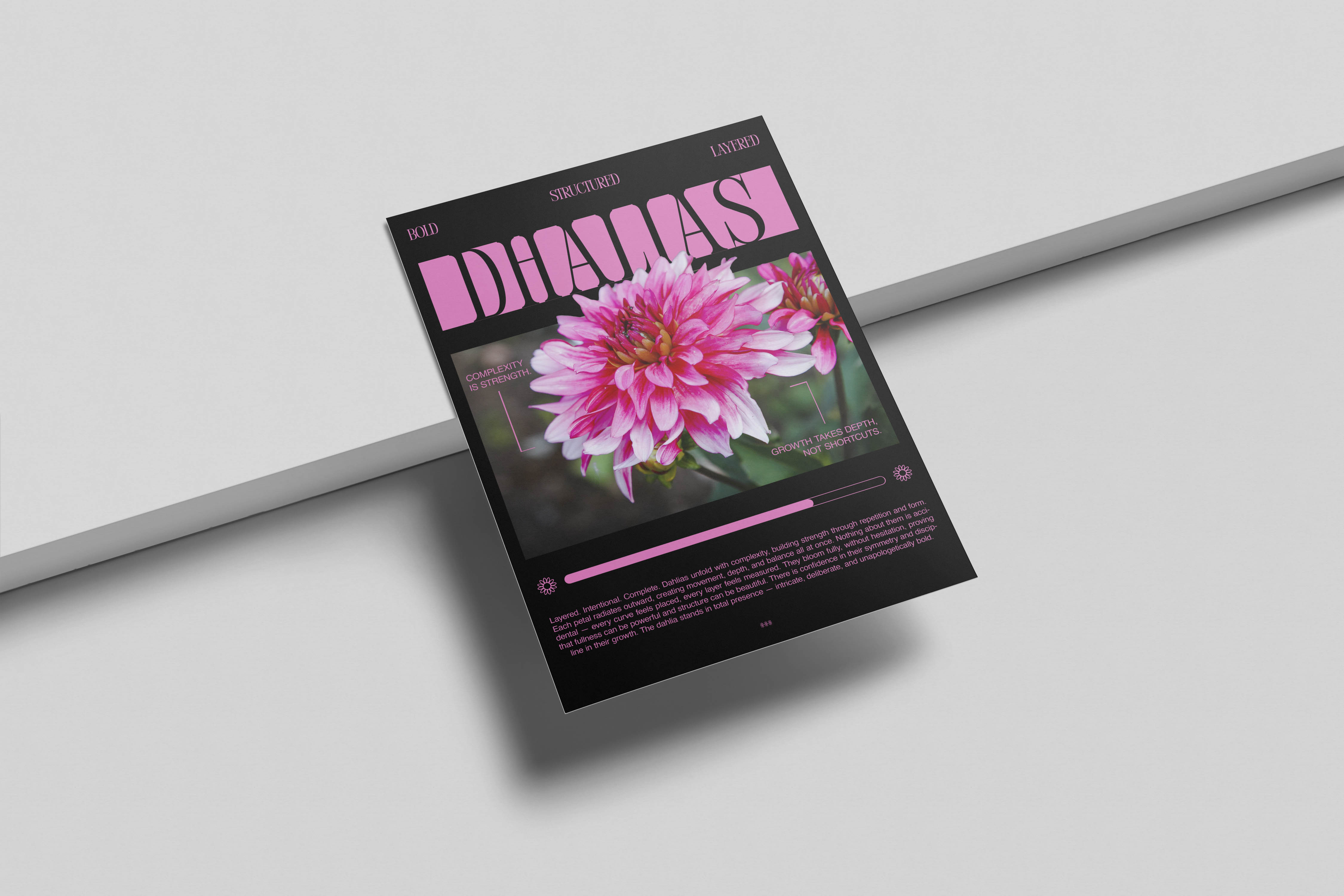 Project Gallery Image for 50% width of the screen #2