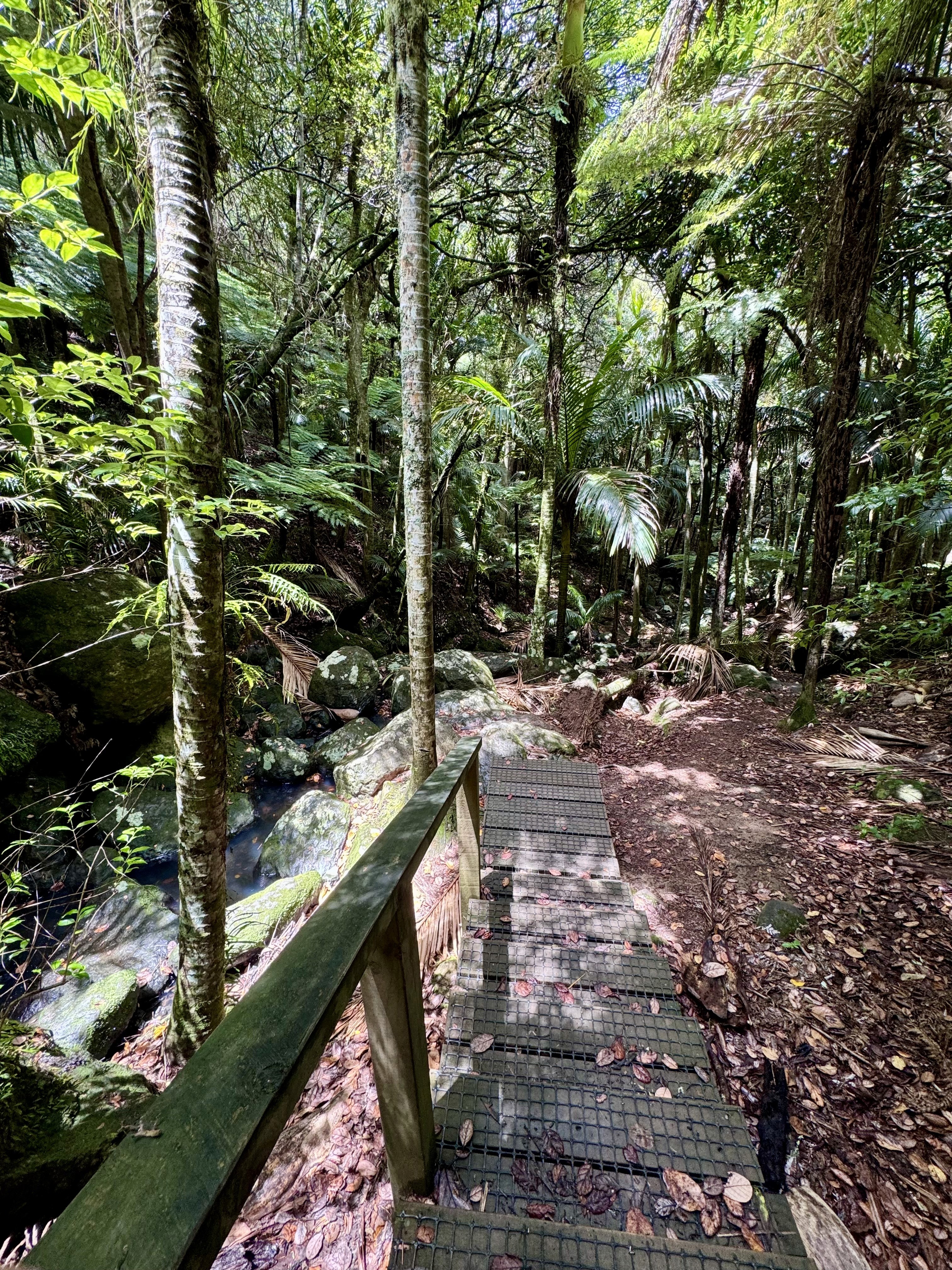 The wooden steps leading to Cascade waterfalls in Waiheke island