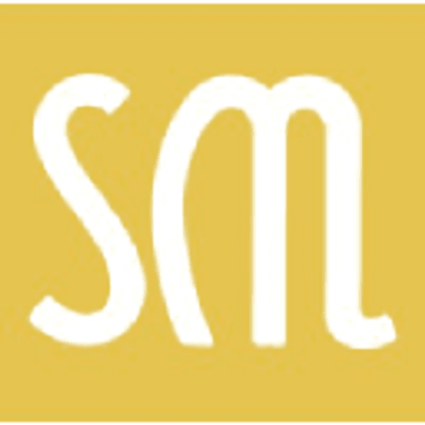 Logo of Stein Mart
