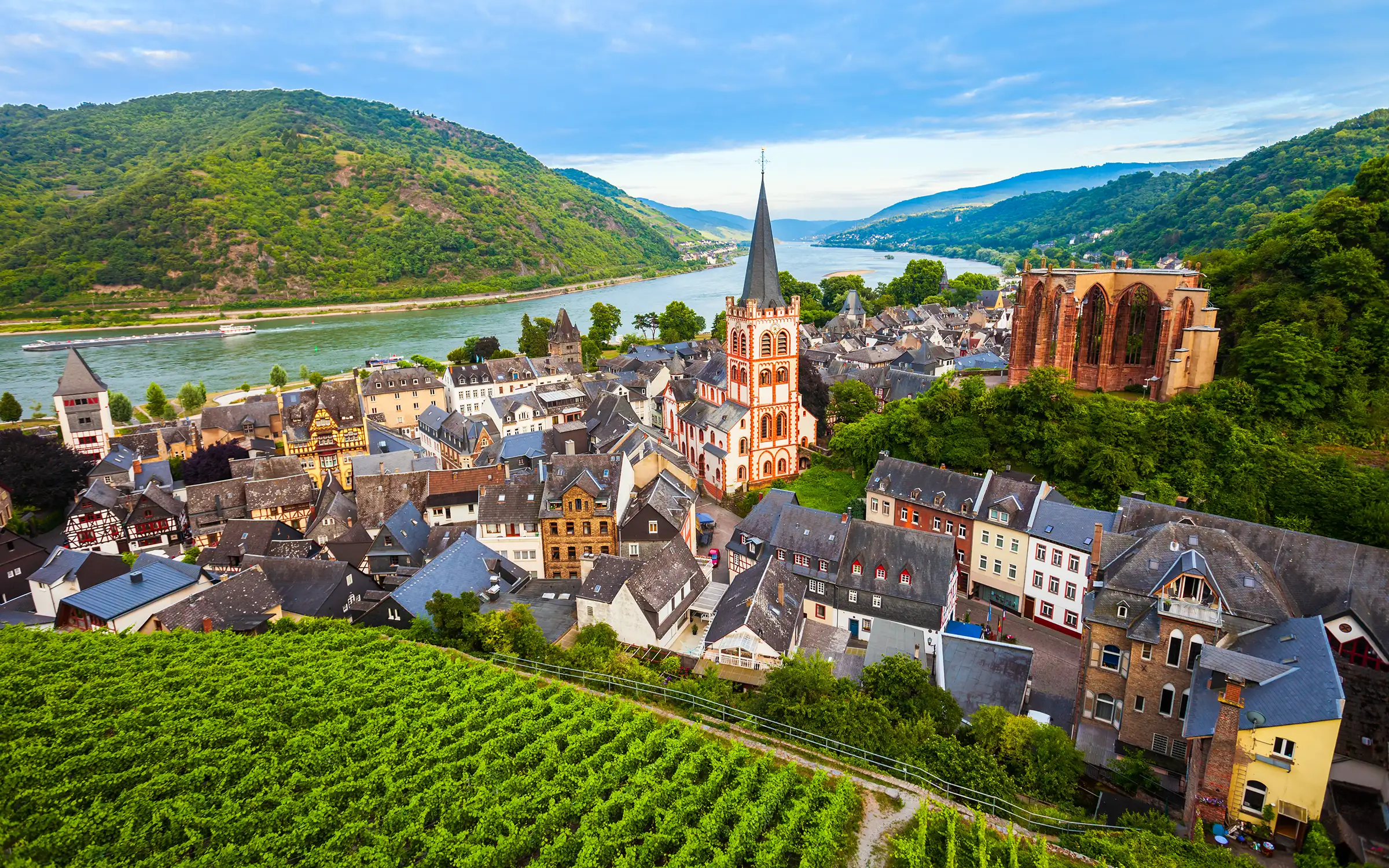 Sykkelferie langs romantiske Rhinen | Expa Travel