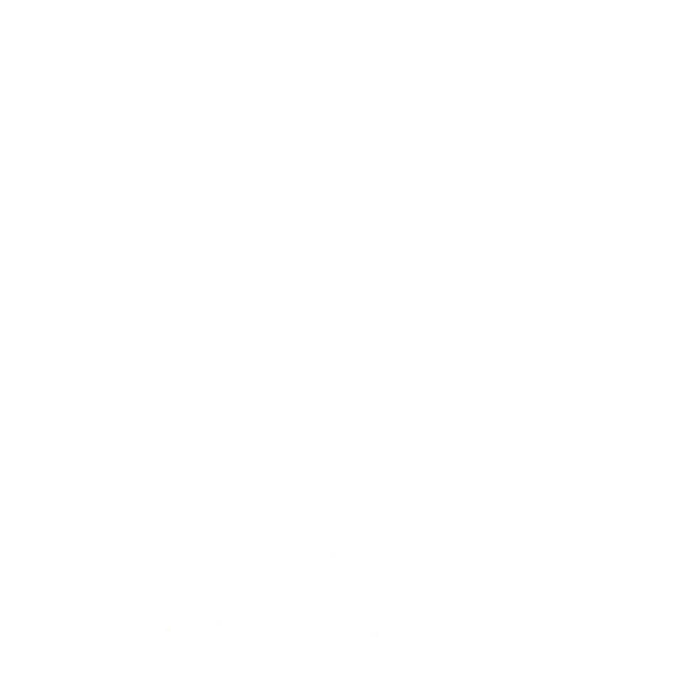 Client Icon
