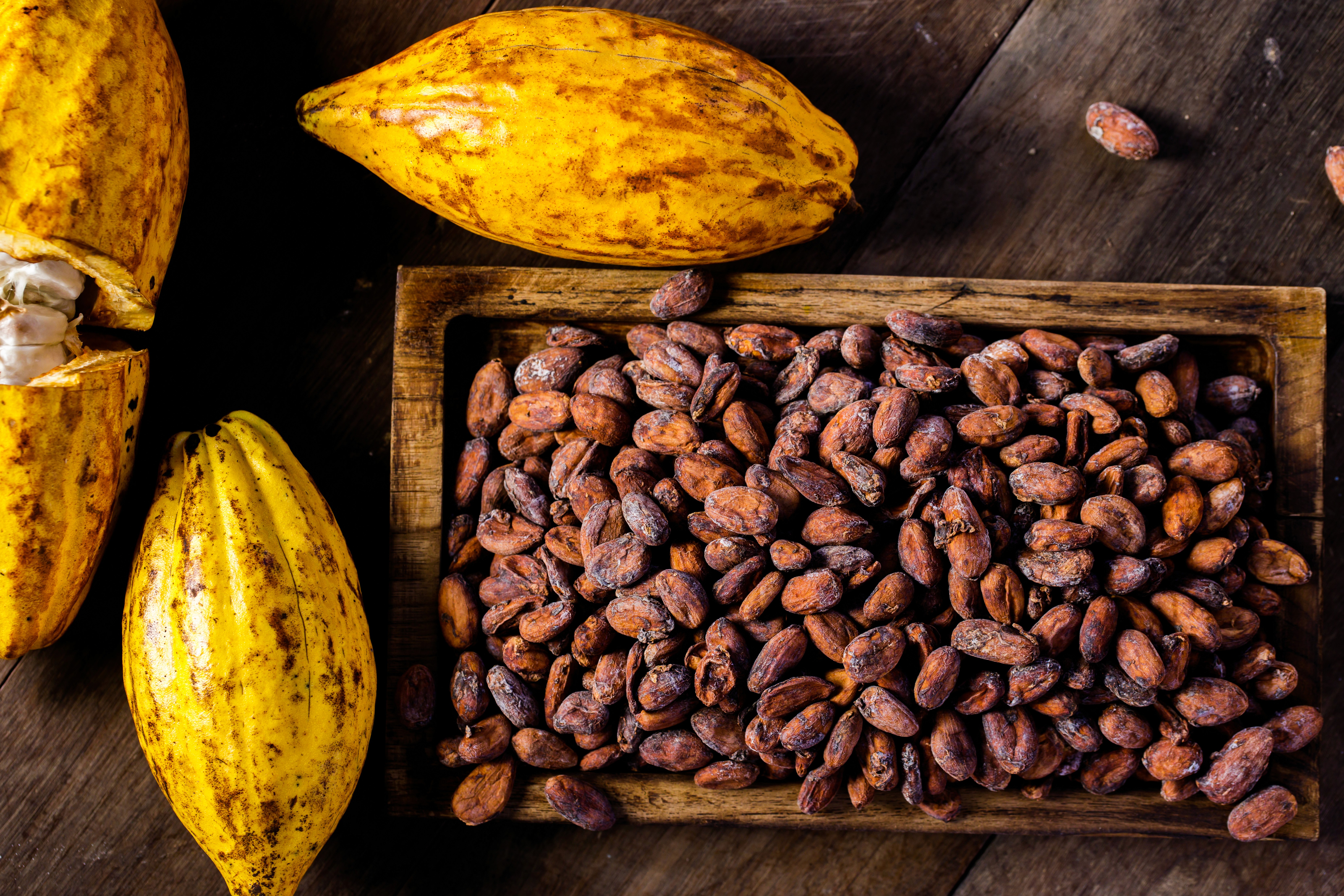 Cabosses et fèves de cacao séchées sur une surface en bois