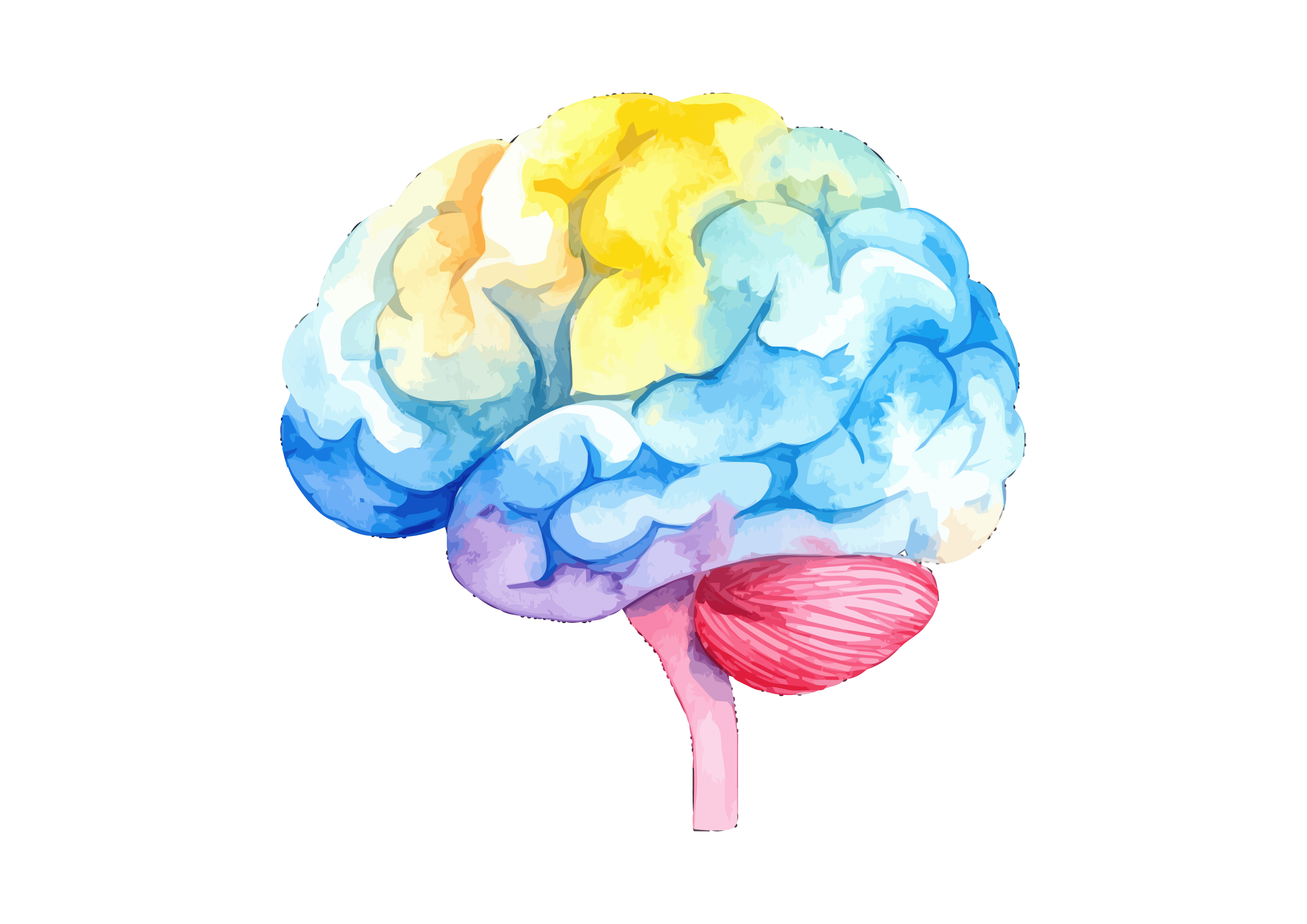 A 3D-rendered glossy pink cube with rounded edges and smooth reflective surfaces on a transparent background.