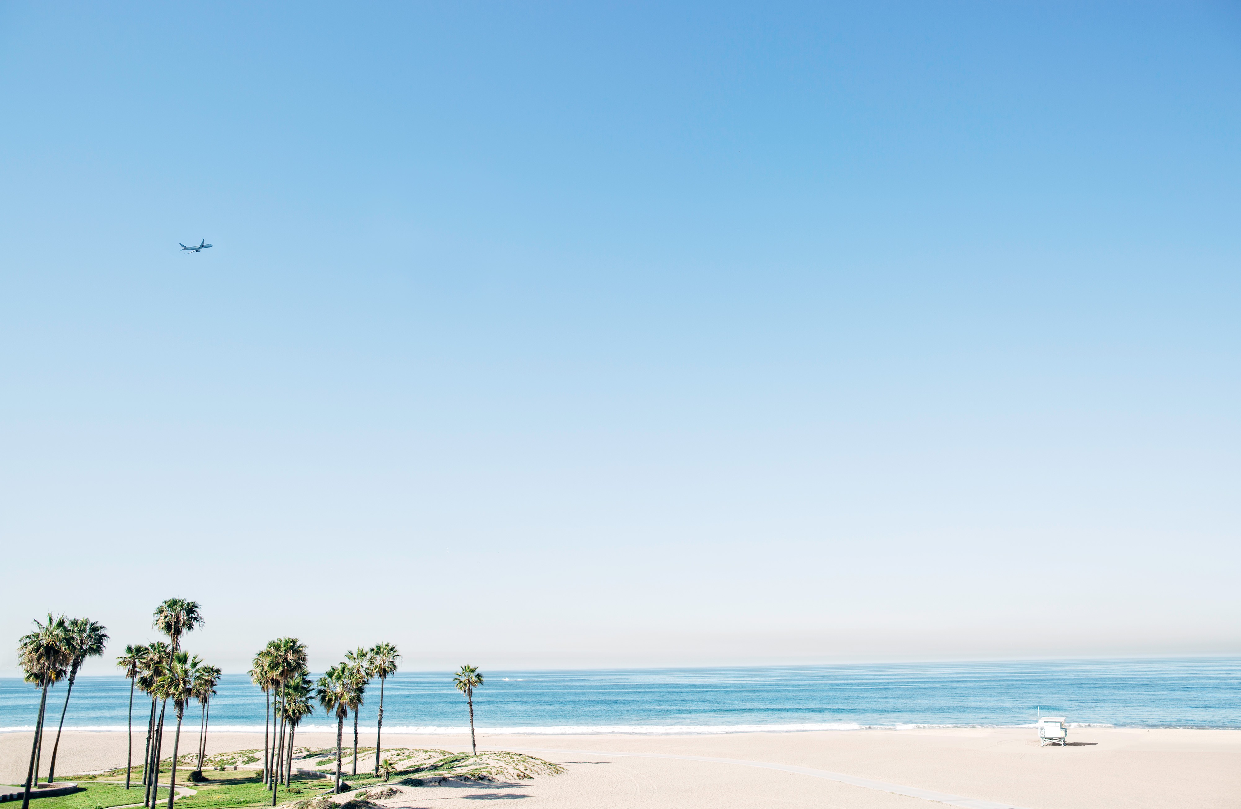 Skyline and trees along a California beach