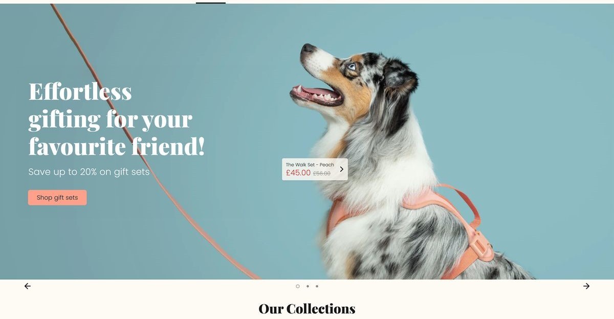 Custom Pet Gift Ecommerce Store for Sale | $333K Revenue High Profit