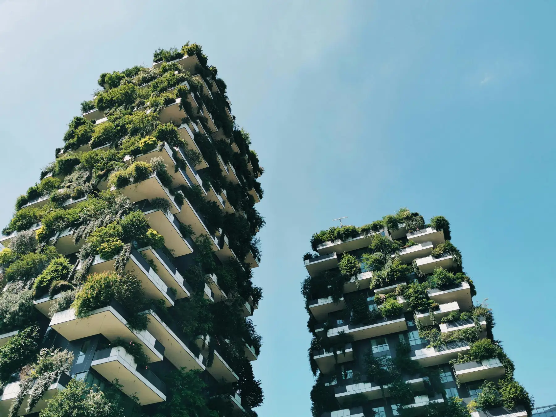 Vue en contre-plongée de façades d'immeubles modernes recouverte d'une végétation dense et verdoyante sous un ciel bleu.