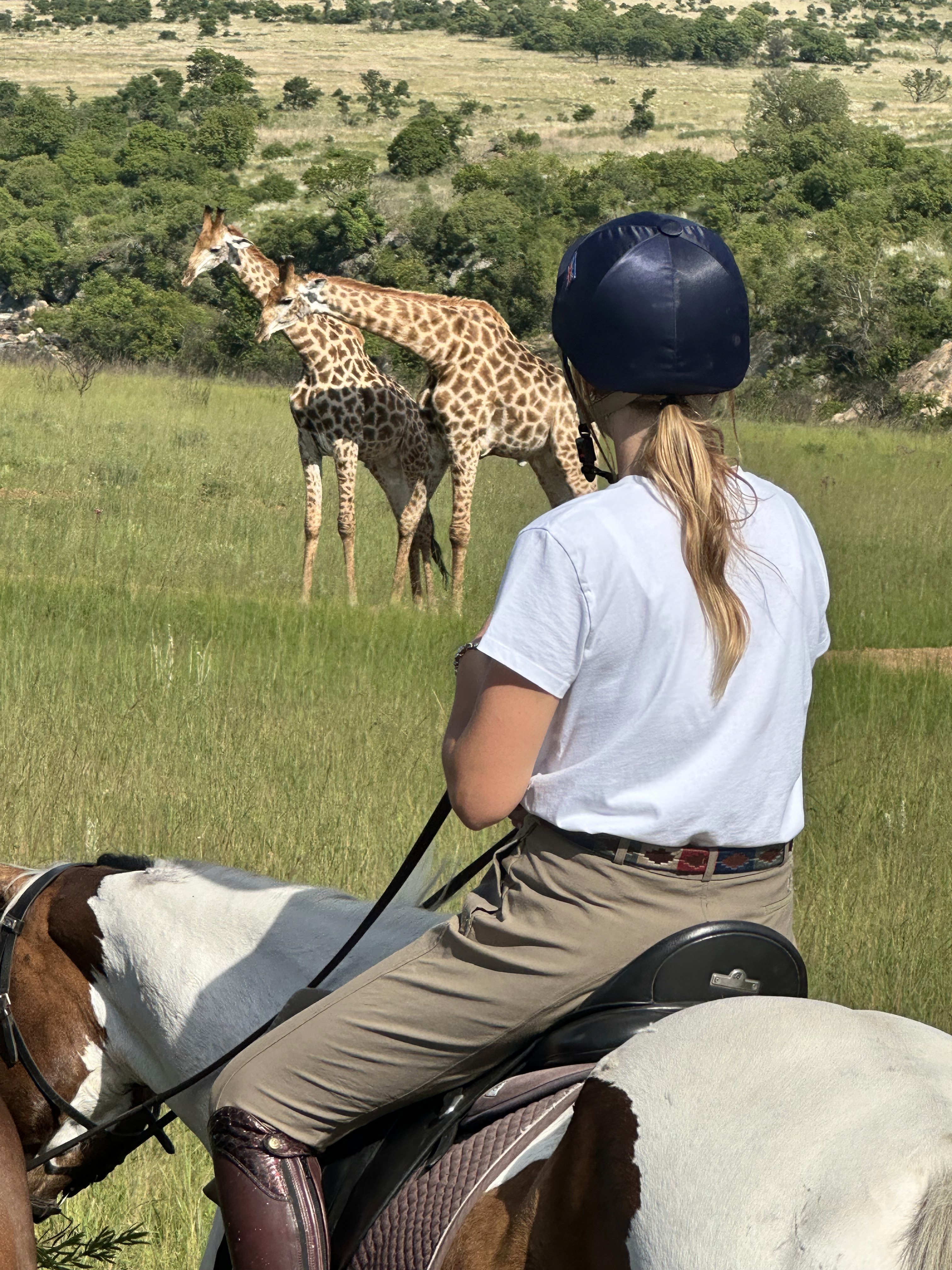 Kilimanjaro Elephant Ride, Arusha National Park, Tanzania – elefant i högt gräs tittar mot kameran, medan fem ryttare till häst på ridsafari i bakgrunden betraktar elefanten i ett grönt och frodigt landskap.