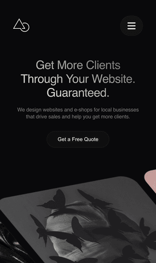 Website development