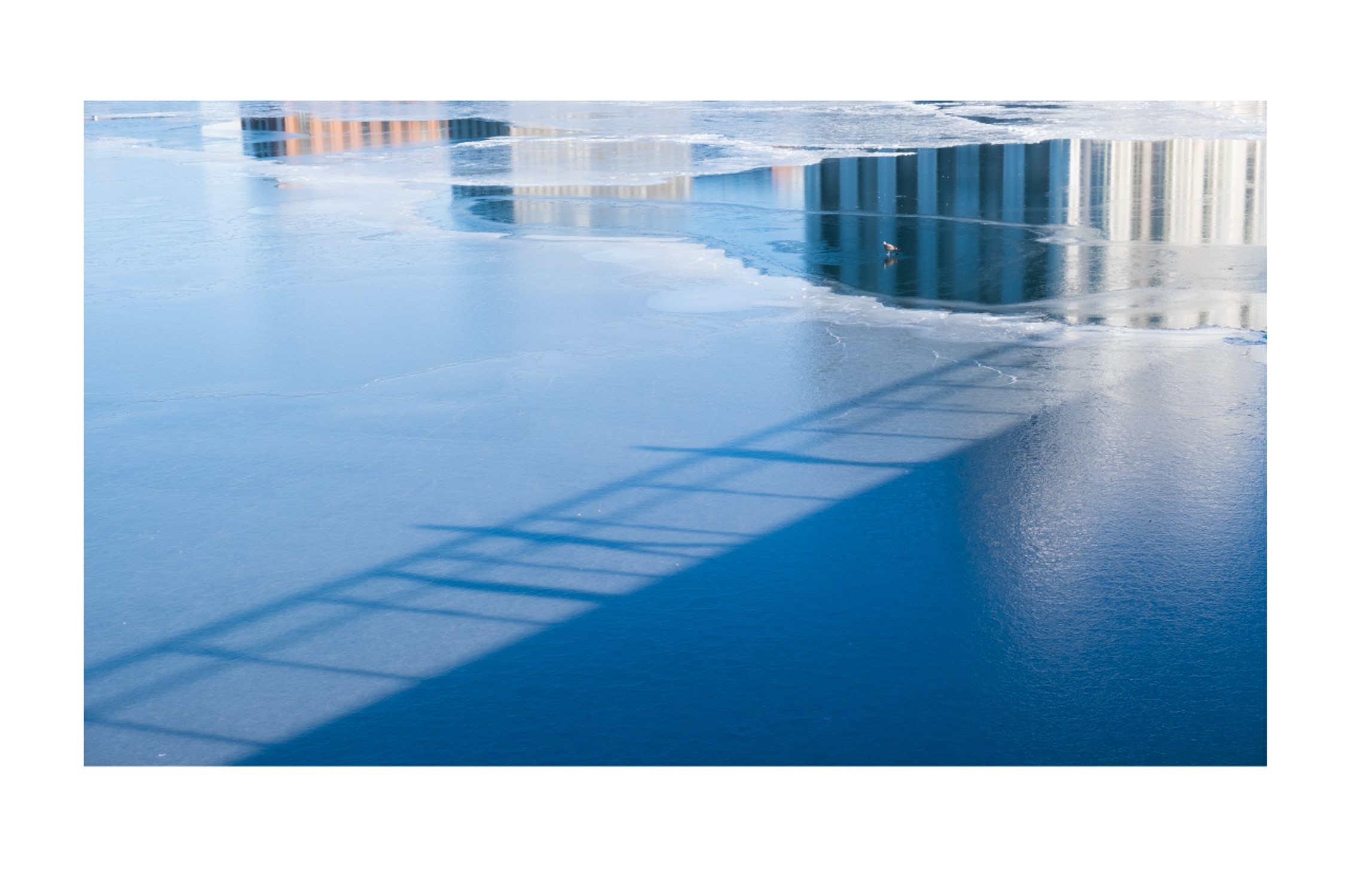 blue shadow of rail on lighter blue frozen water next to building reflections
