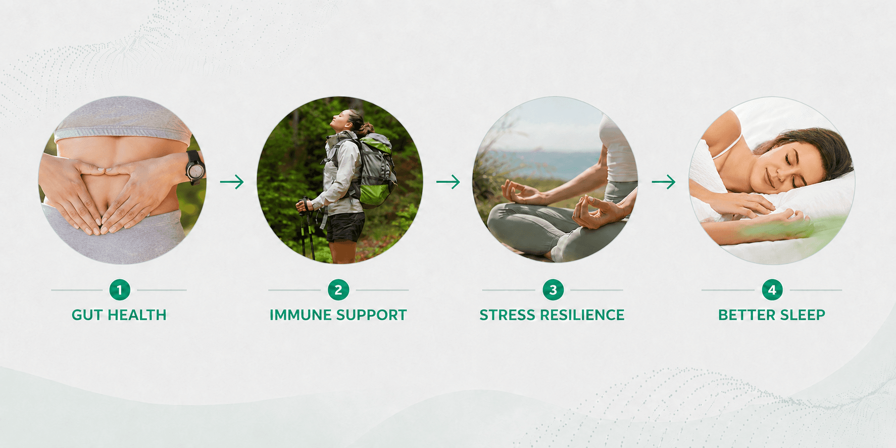 Flowchart of OkiOne health benefits