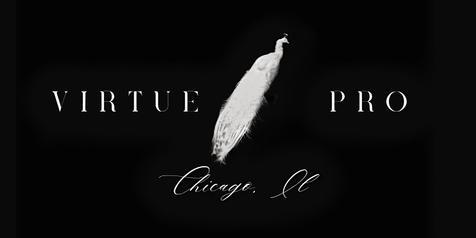 Virtue Professional Services logo featuring a white peacock, symbolizing redemption and transformation in crisis management.