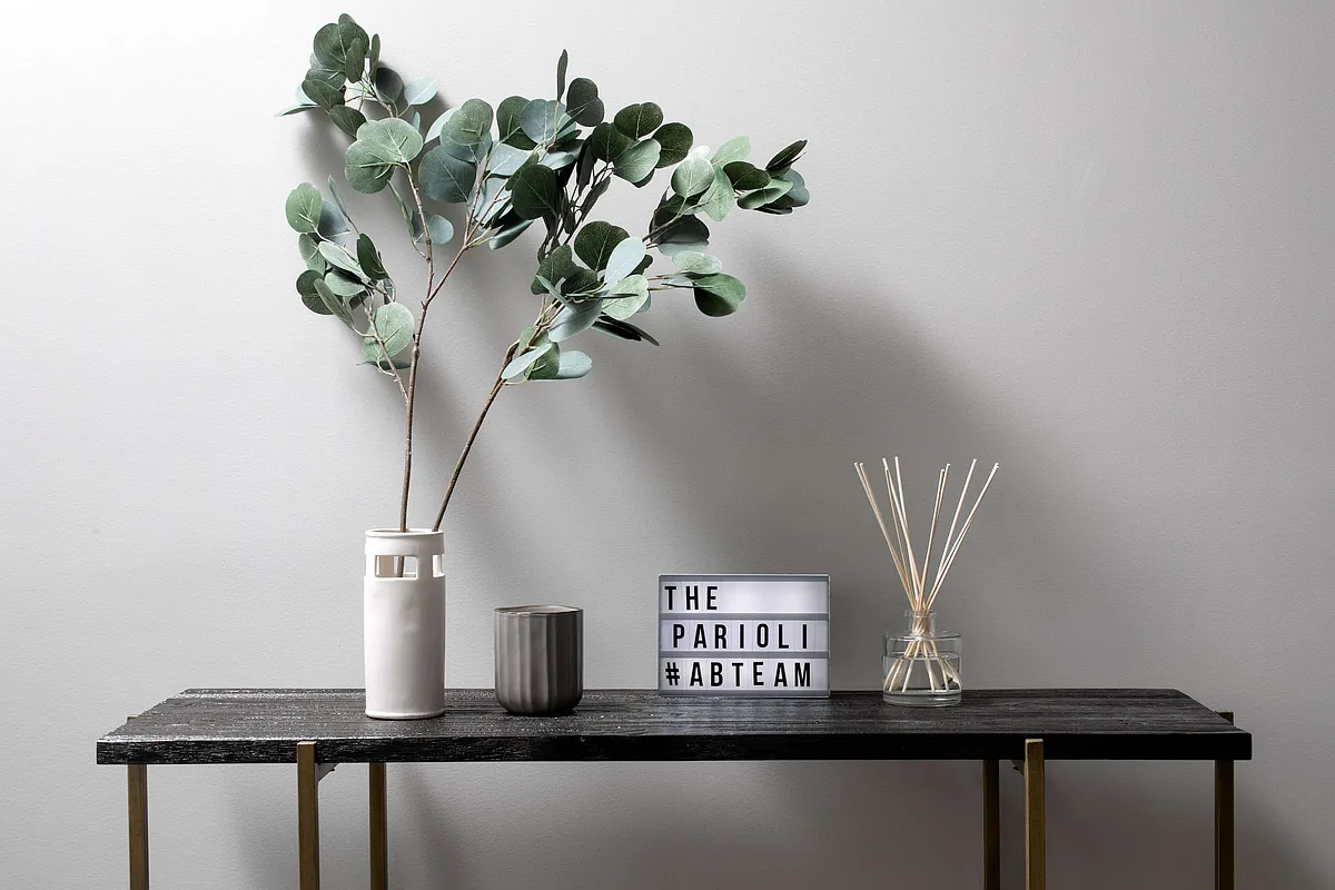 A modern black console table adorned with a lush plant, enhancing the aesthetic of the space.