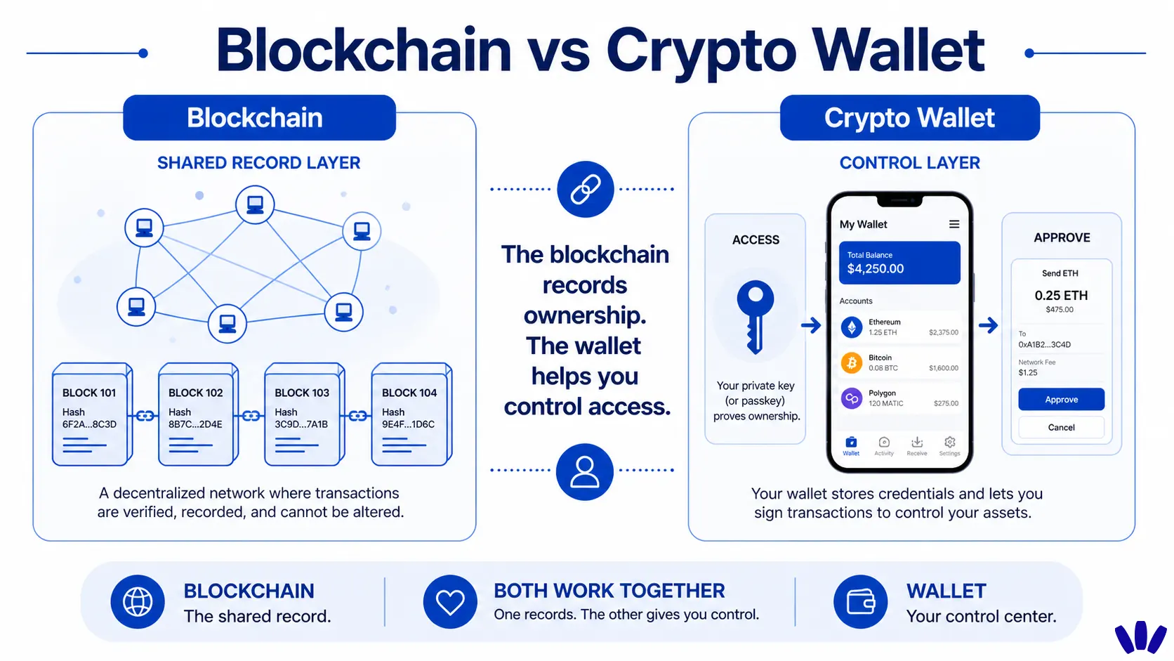 blockchain vs crypto wallet
