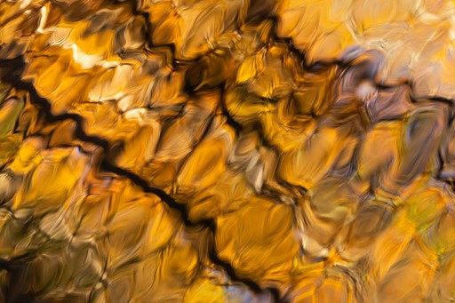 Davis Commodities Explores Stablecoins For Agricultural Trading .Photo by Dave Hoefler on Unsplash