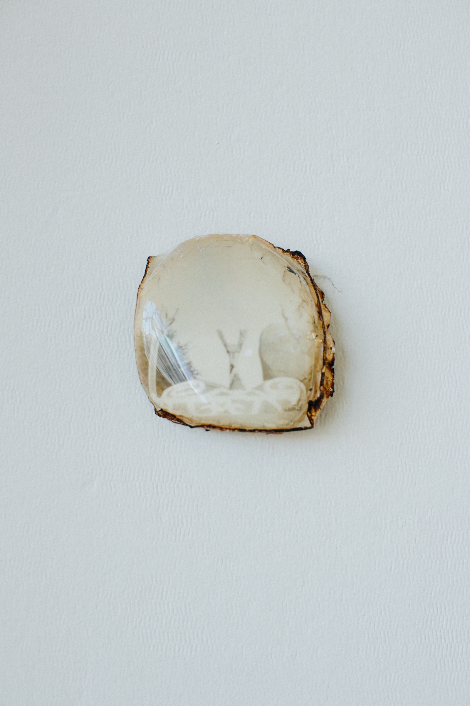Photograph by Jacquelyne Pierson