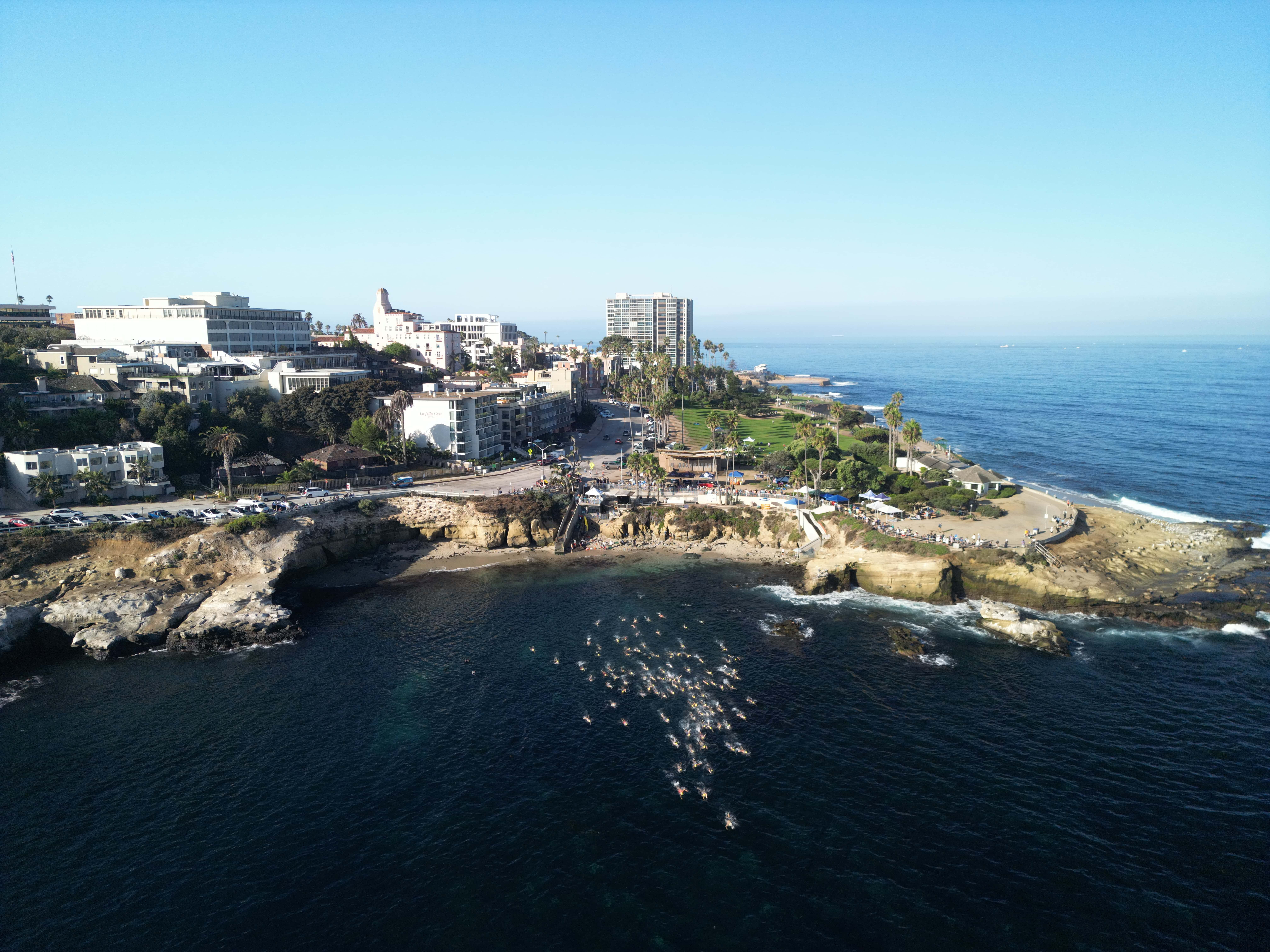 La Jolla Cove Swim