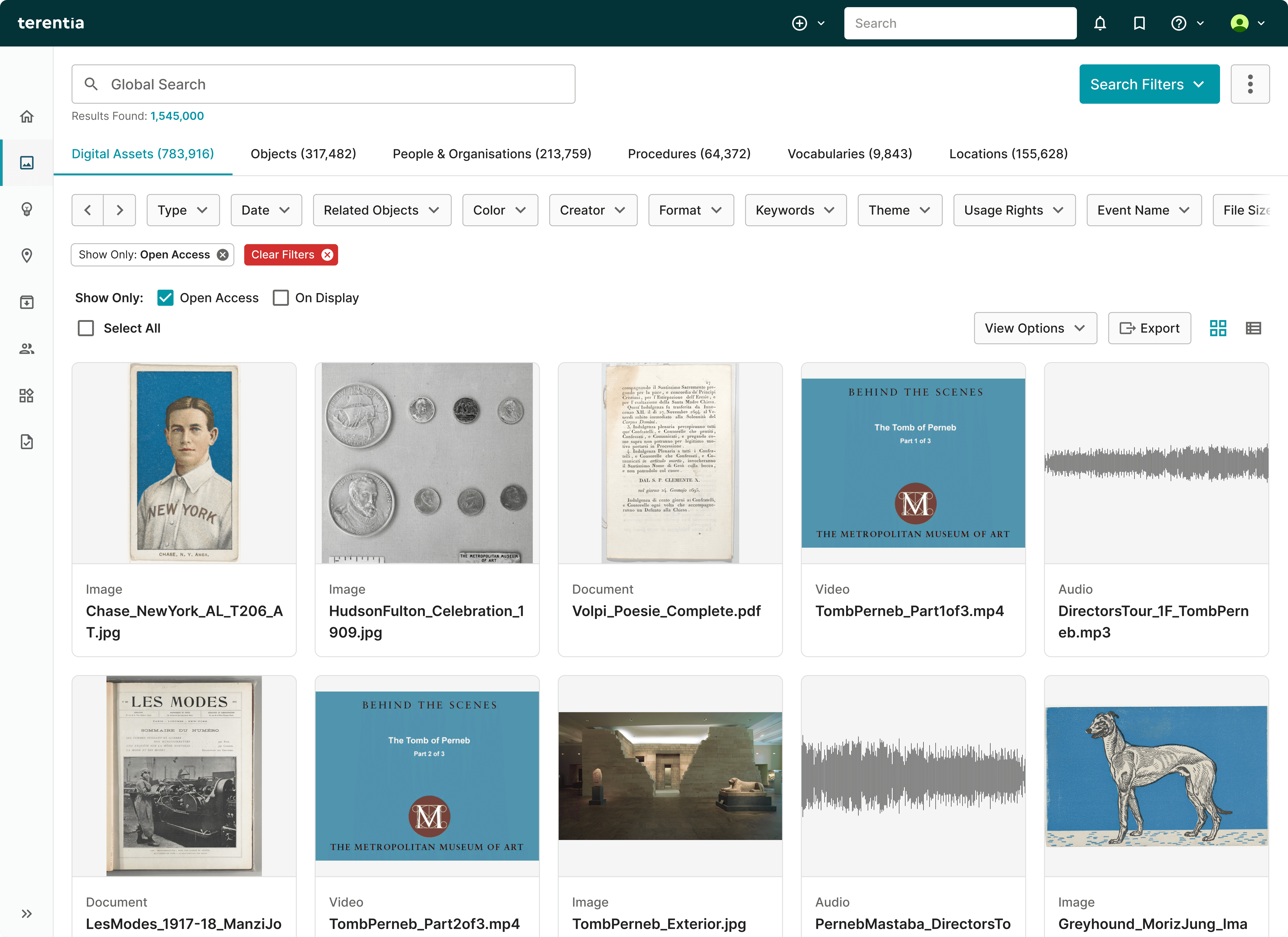 Grid of digital asset records inside the Terentia DAMS