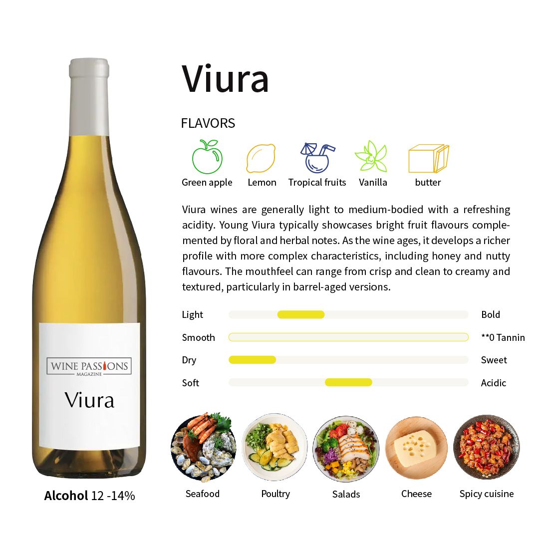 Viura grapes Viura wine Spanish white grapes Viura flavor characteristics Viura region Rioja white wine Cava wine Macabeo grapes high-quality white wine Viura production Spanish wine culture renowned Viura wineries Viura market history of Viura grapes