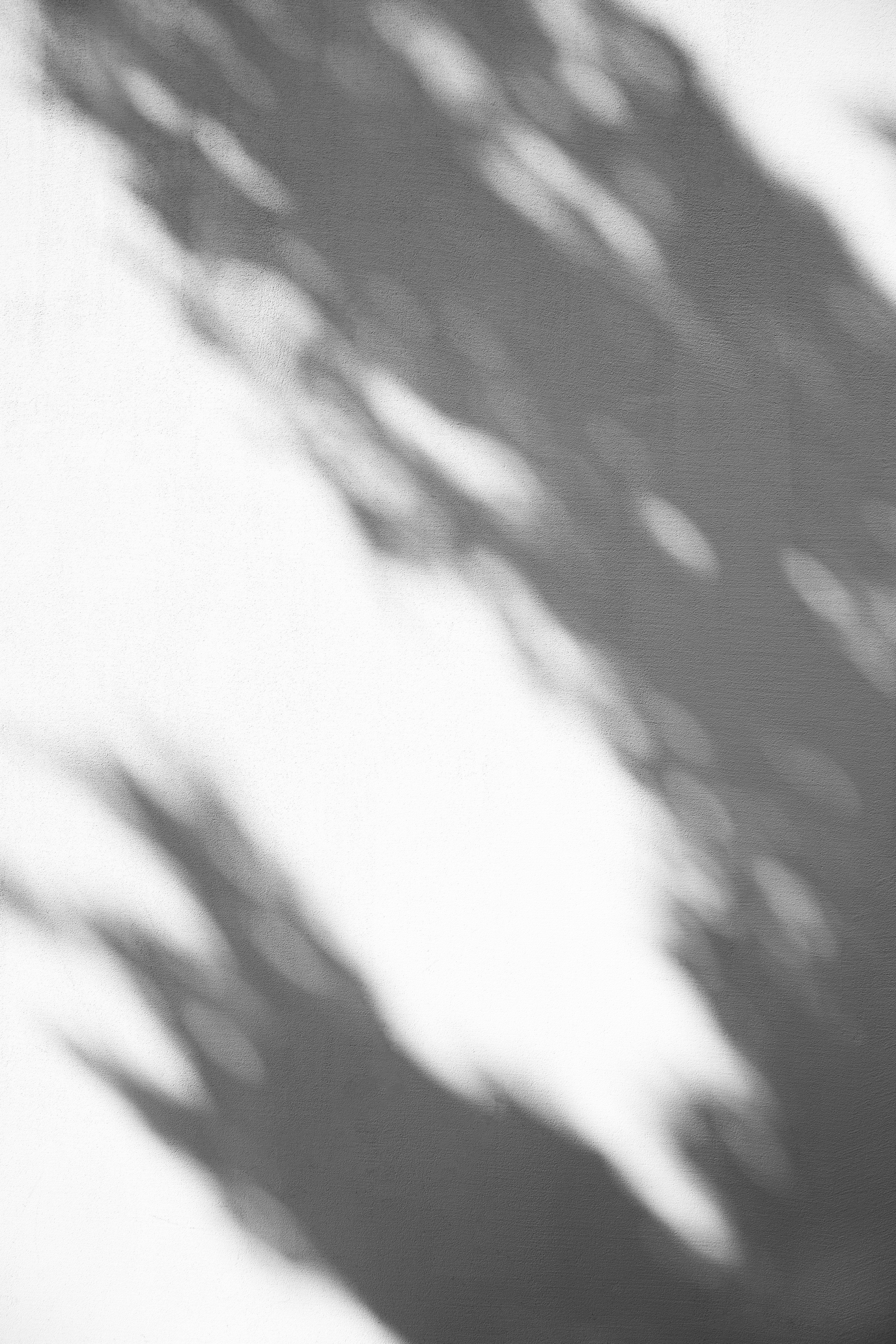 BĒBOHĀ - white and black floral textile