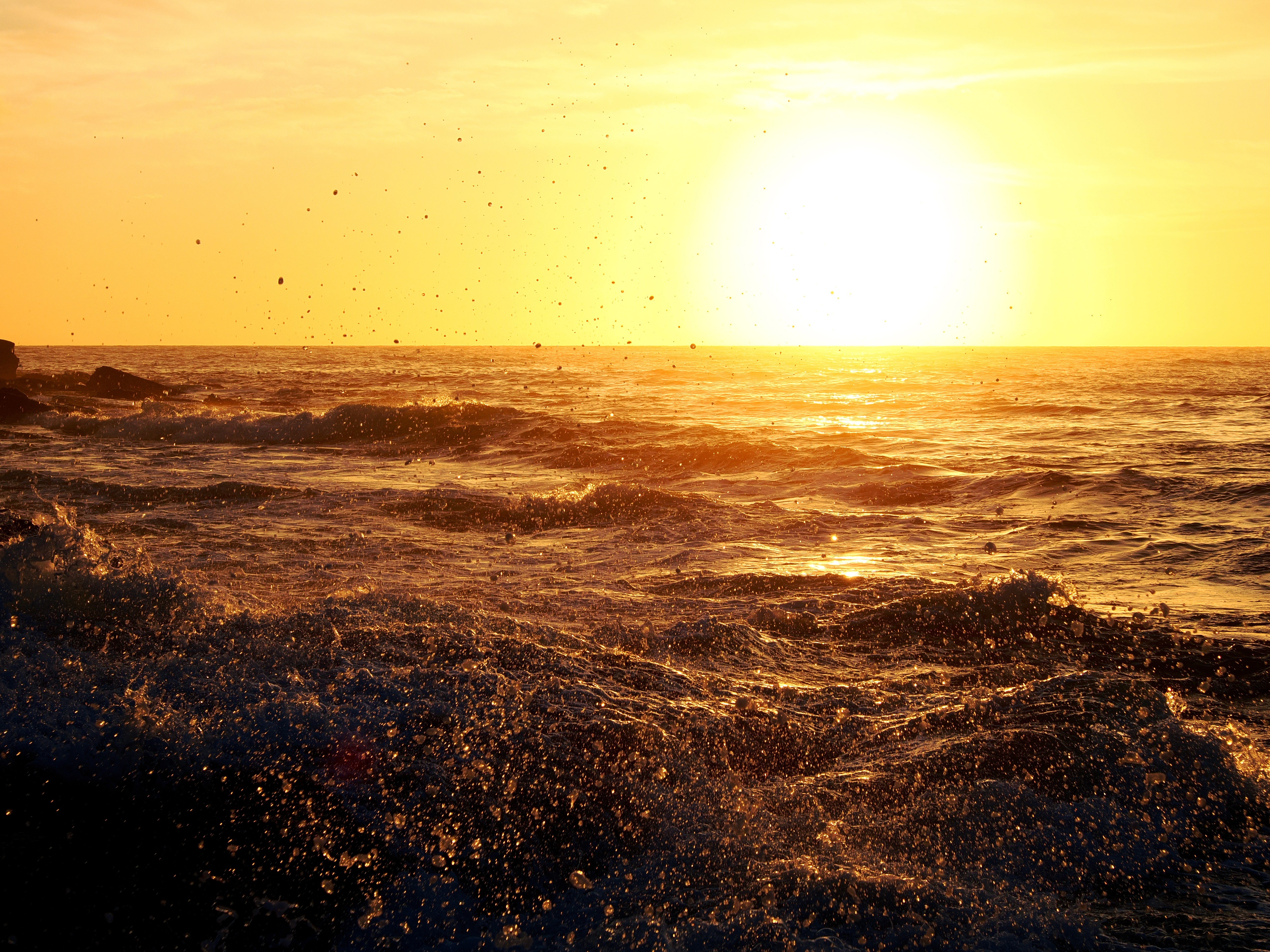 Professional headshot of a person in a formal setting.