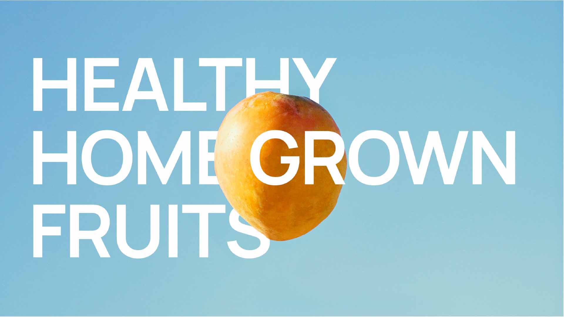 felofarms, a brand by longeblack