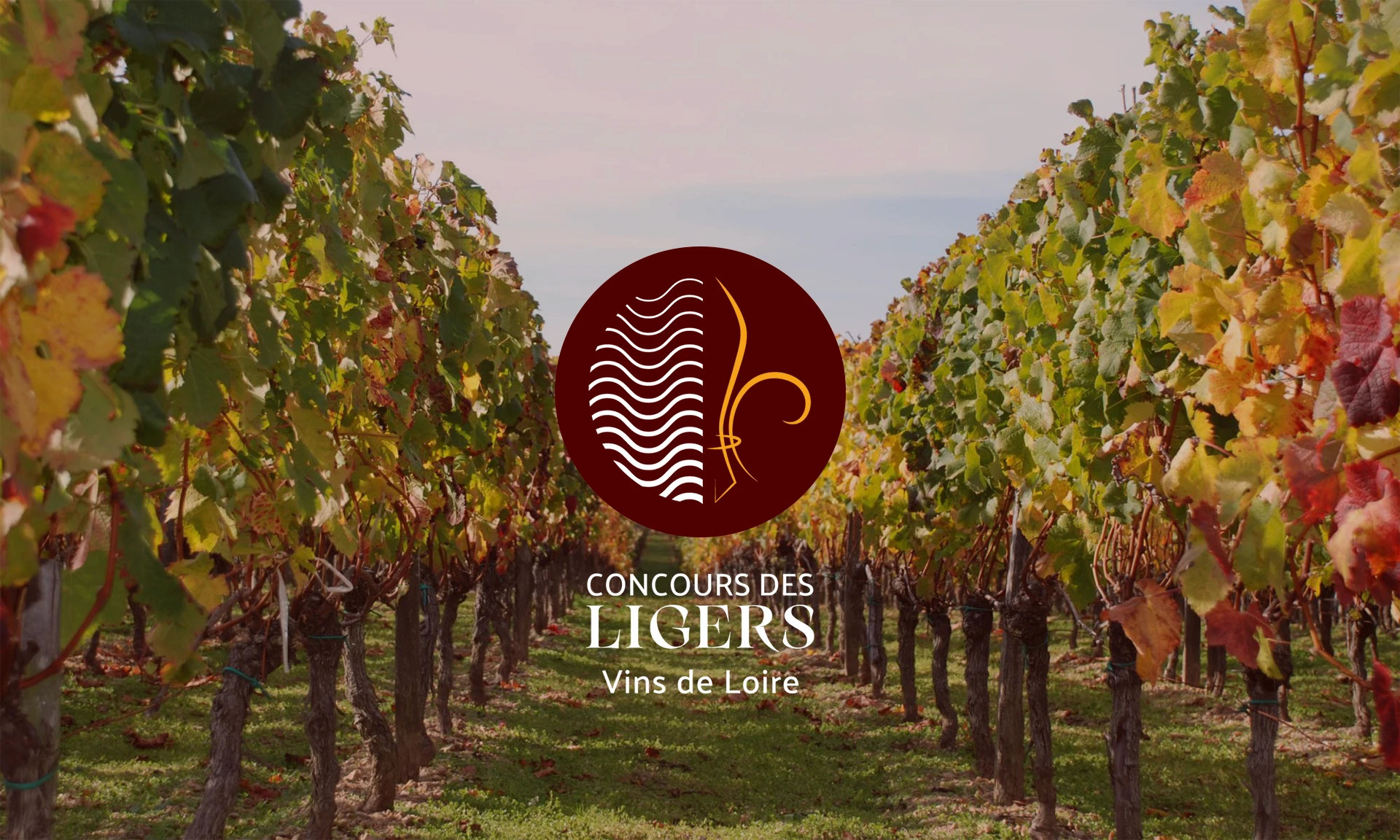 concours_ligers_2026