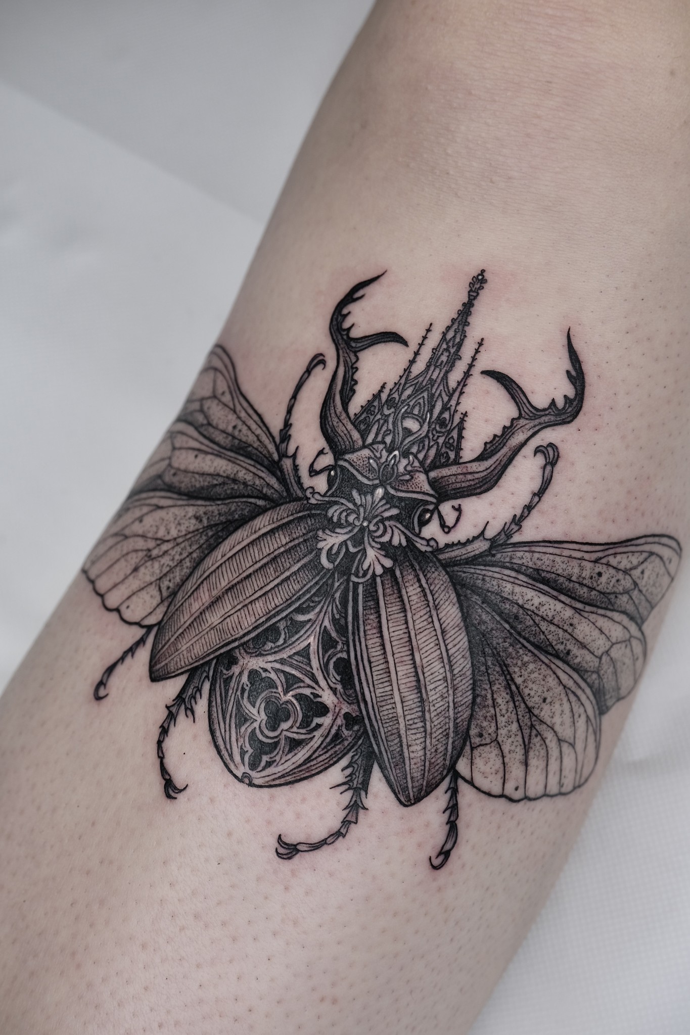 Detailed Illustrative Blackwork Beetle Tattoo by Artist Maya