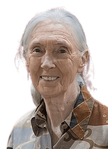 This is a portrait of an elderly woman with long, silver hair pulled back, wearing a patterned button-up shirt. She has a warm smile and kind eyes, with visible wrinkles that add to her distinguished appearance. The image conveys wisdom and experience, often associated with influential figures in science, conservation, or humanitarian work.