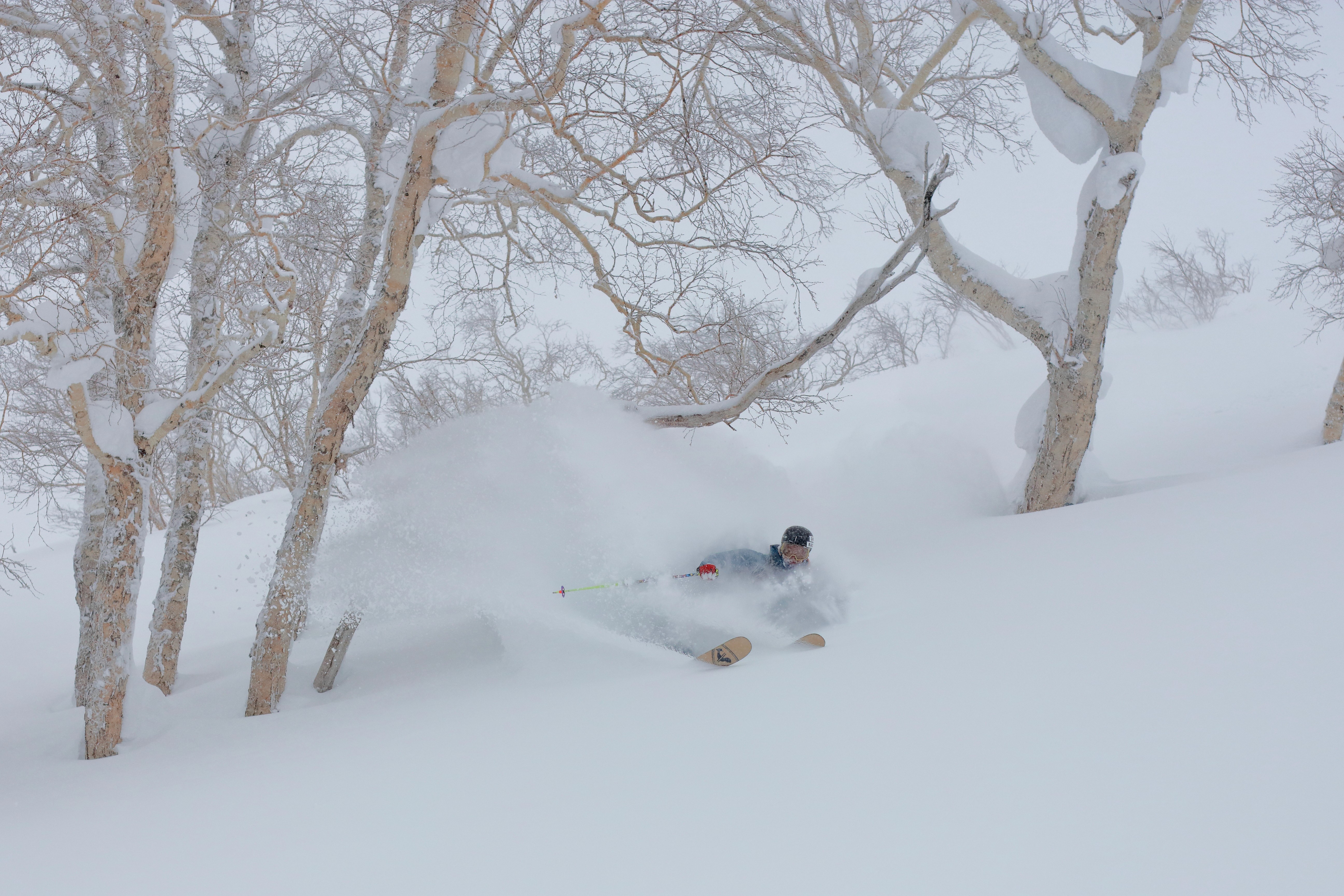 Tobi Deckert, sports model, freeride touring skis, Japan Asahidake powder