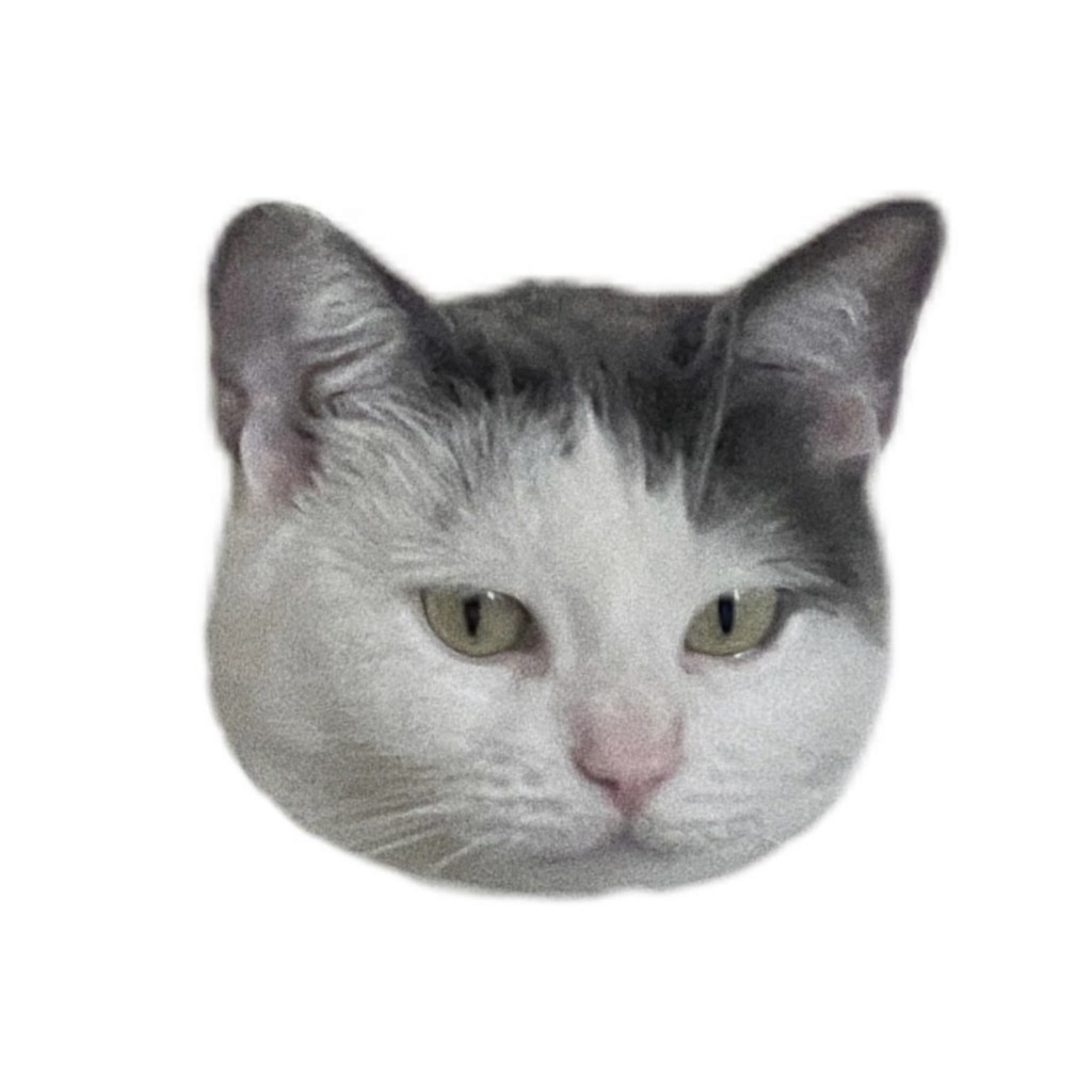 Goran Babarogic Product UX Designer