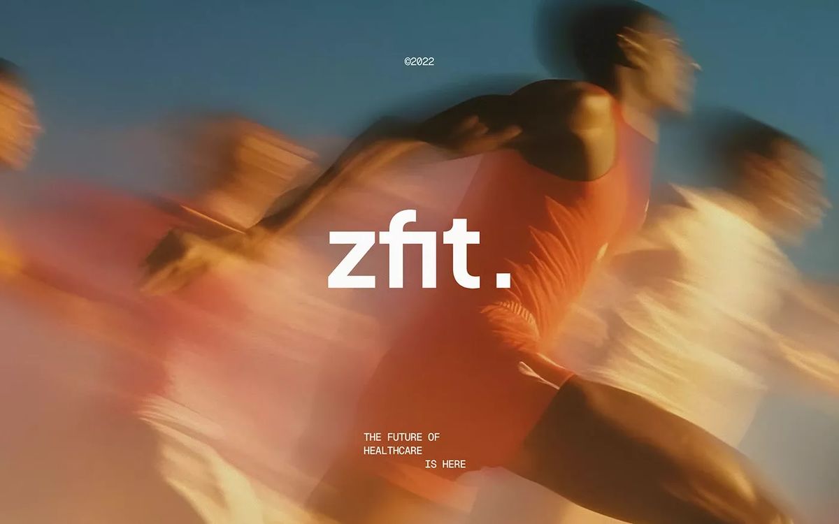 ZFIT image
