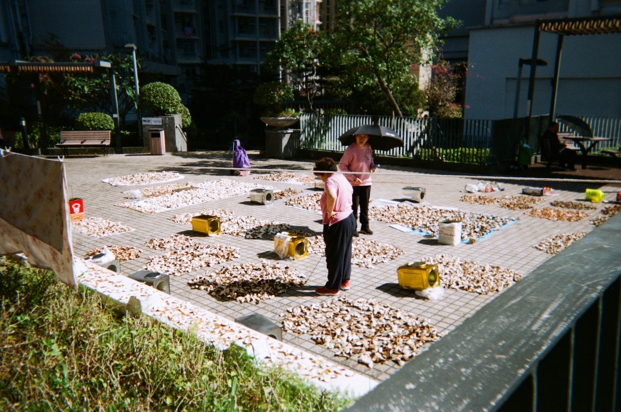 a couple holding each other on a roller coaster 