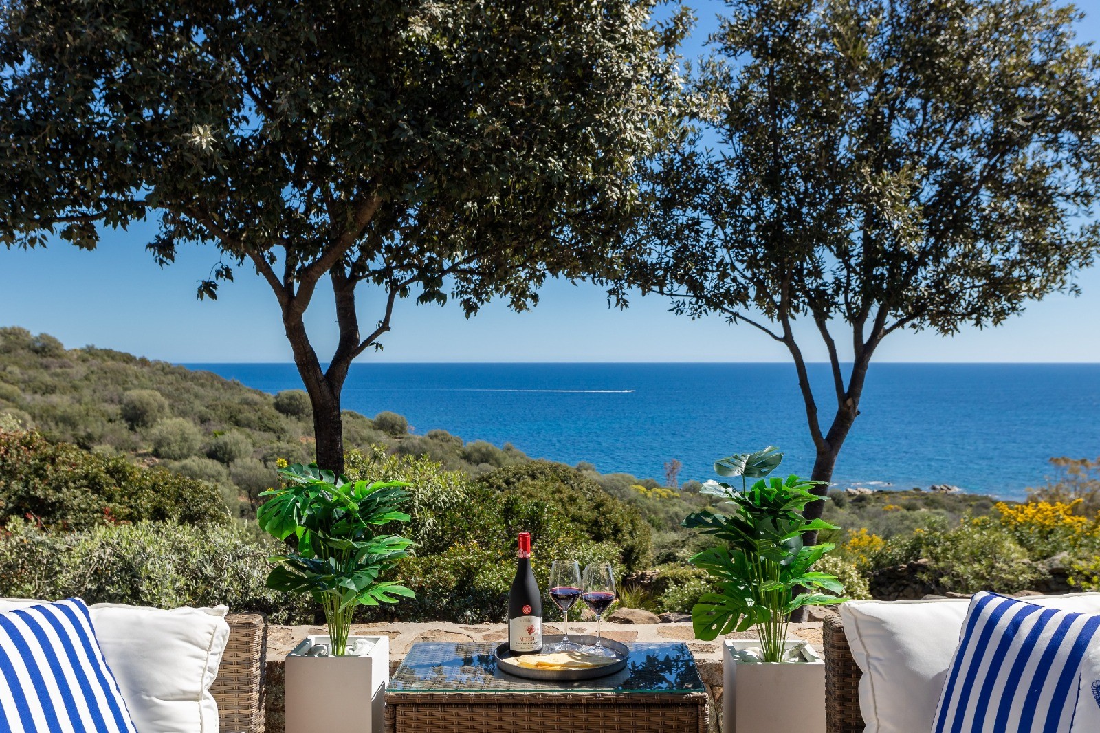 Describe the property