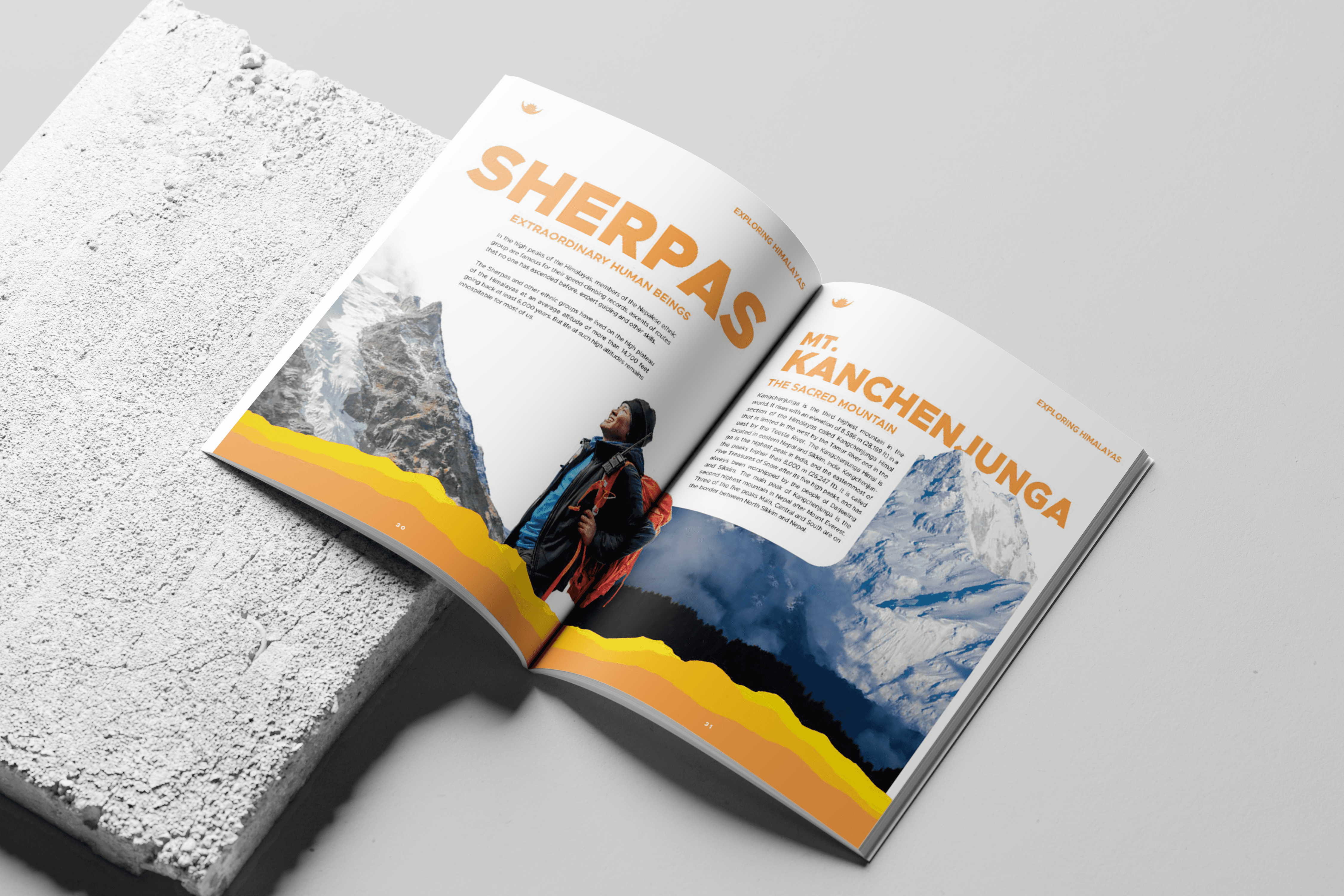 AquaFlow's transparent and eco-friendly packaging showcases the purity of its mountain spring water.