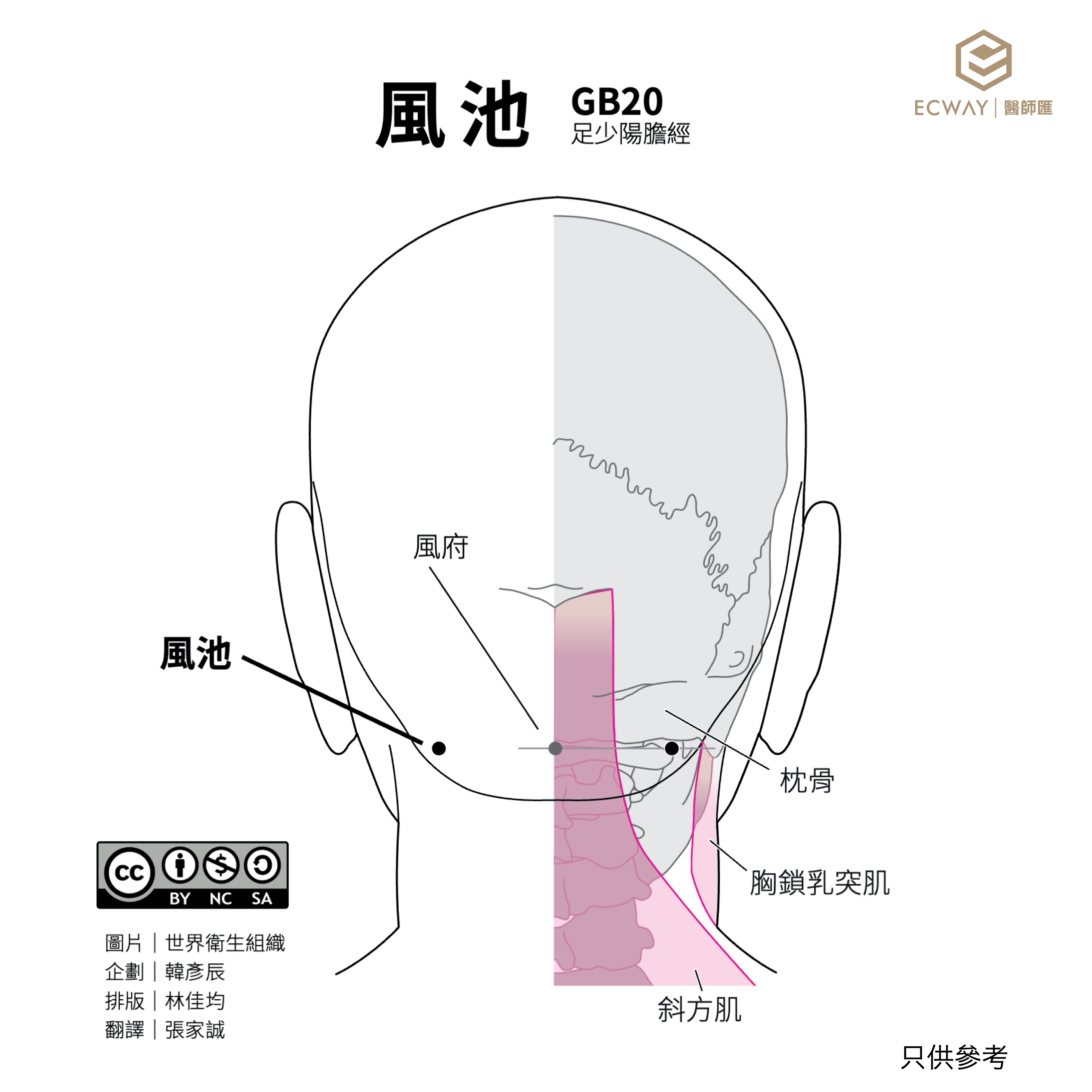 風池穴