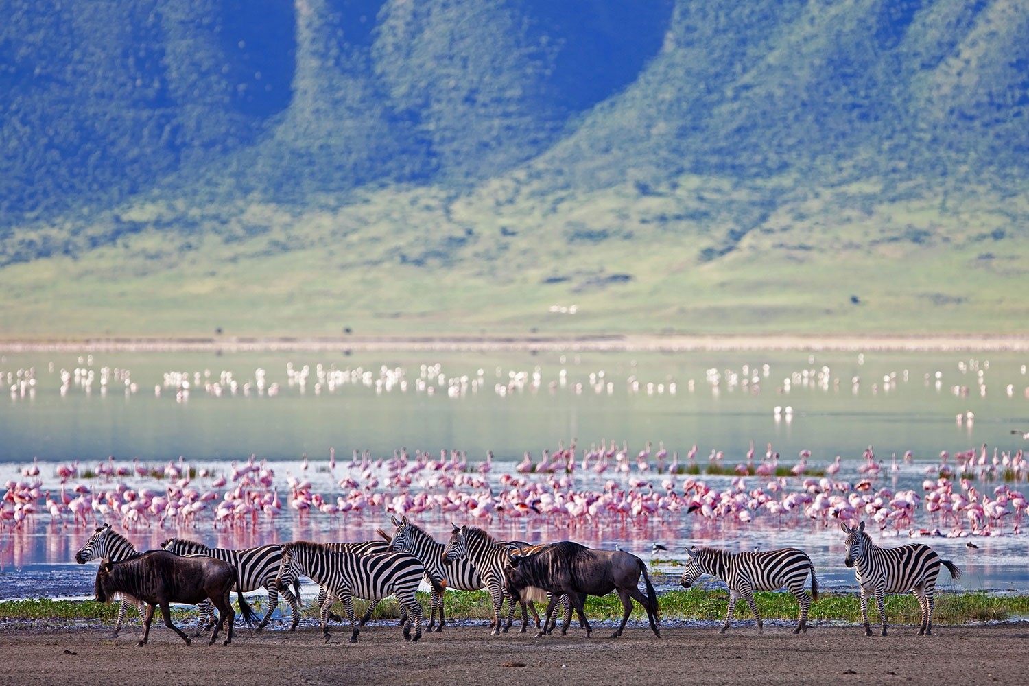 Classic Tanzania