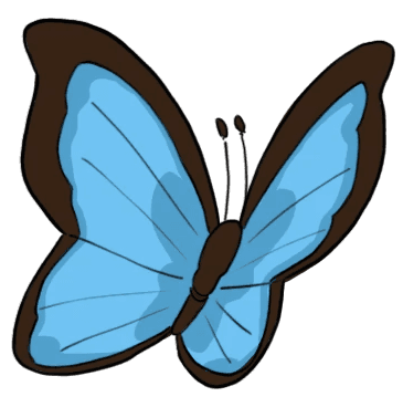Morpho Butterfly Monteverde
