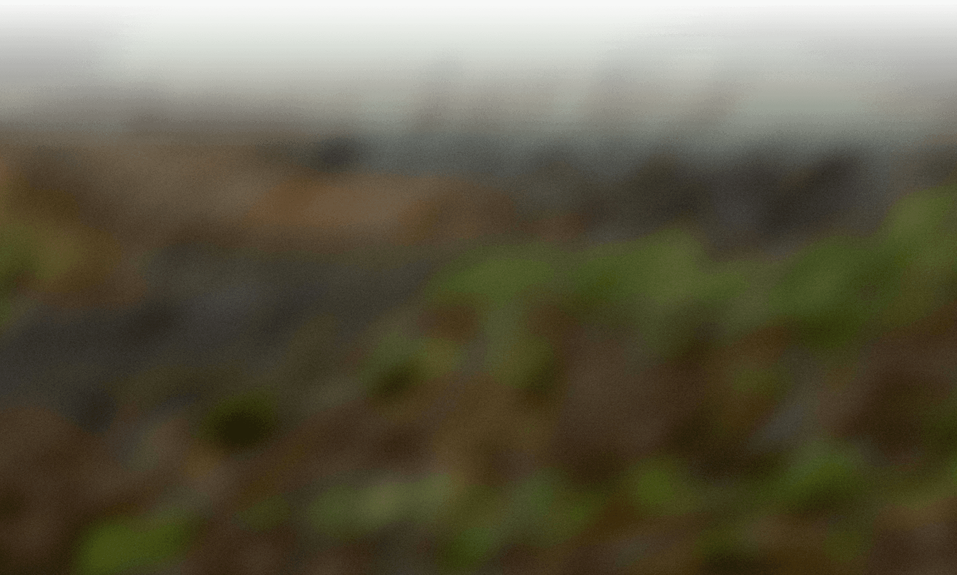 Image floue aux teintes naturelles, mélange de verts et de bruns évoquant un paysage ou une texture végétale.