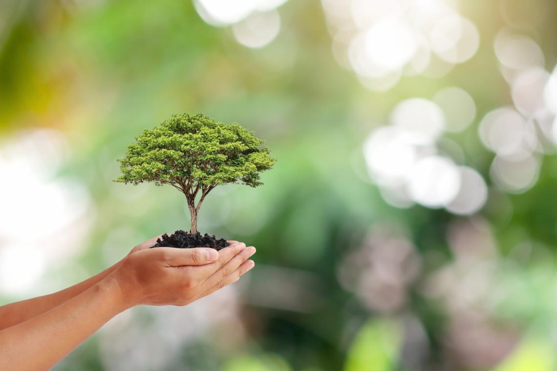 zaštita životne sredine