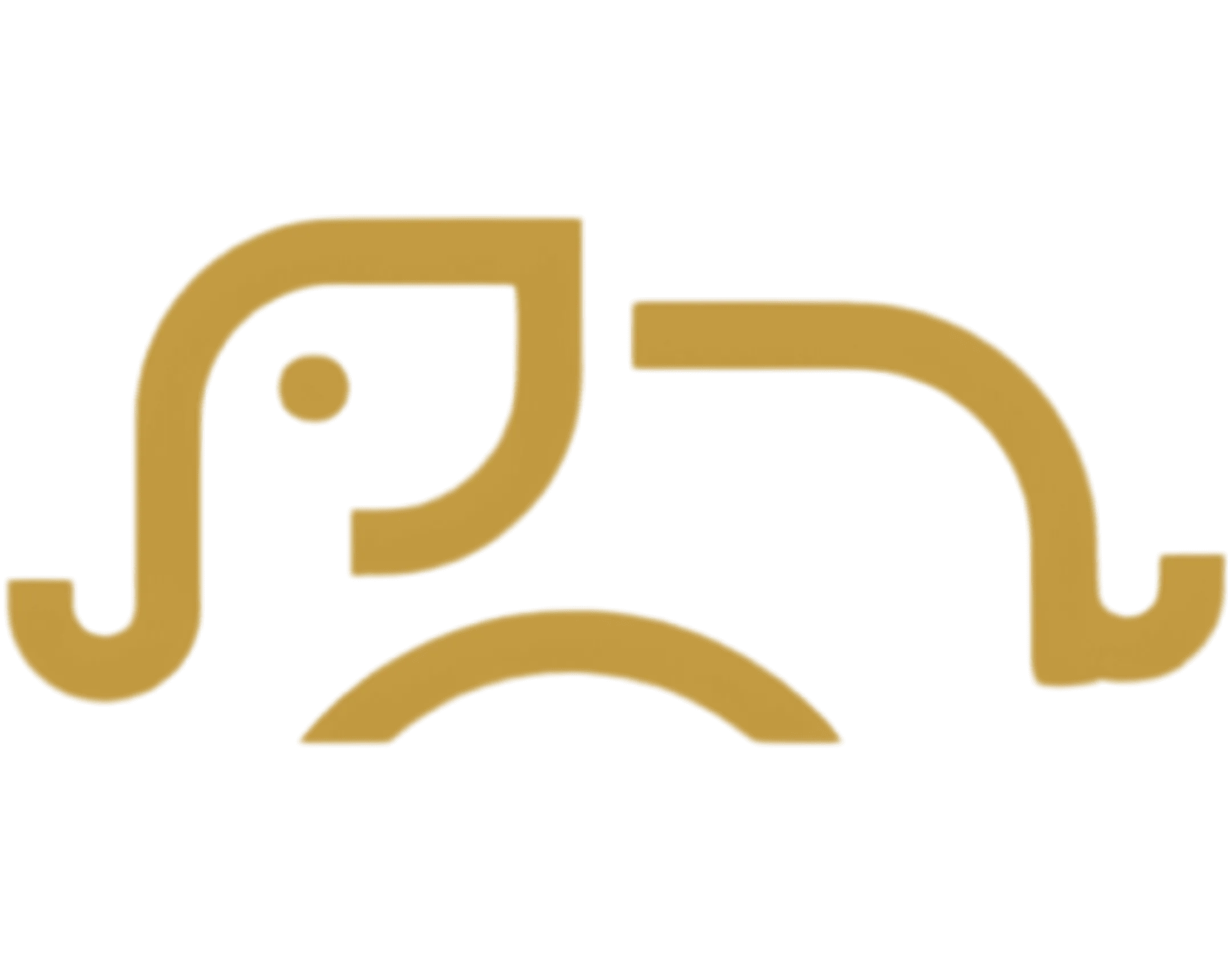 That Saree Shop Logo