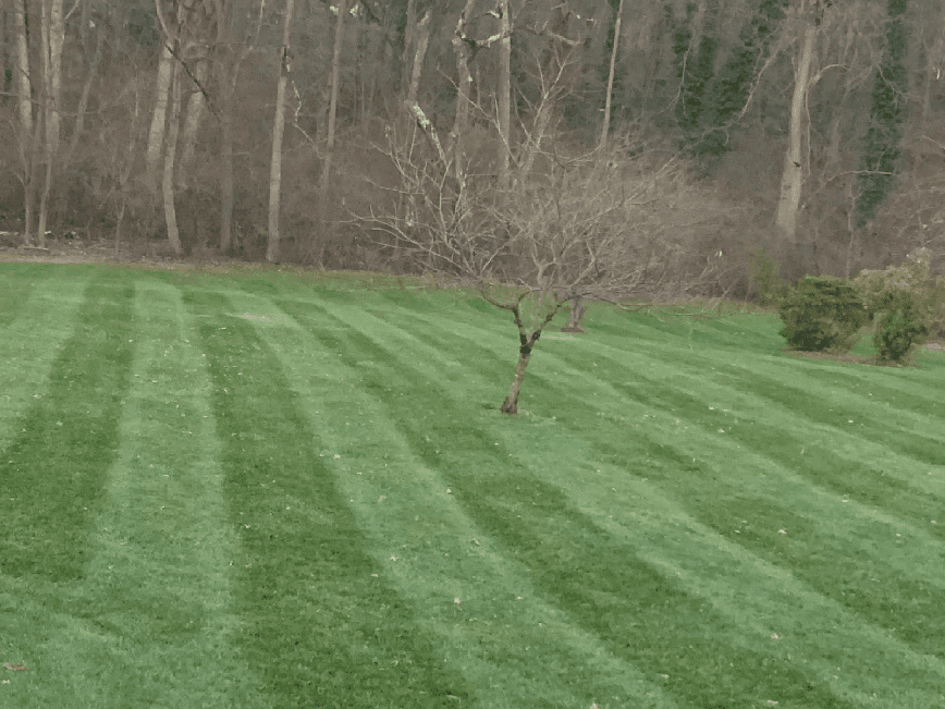 Freshly cut grass in Taneytown, MD