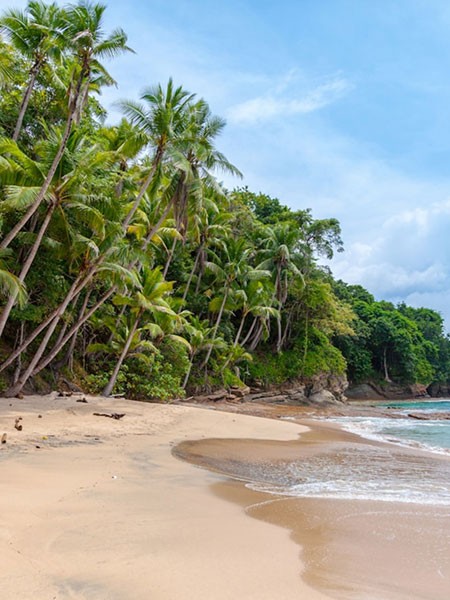 Neighborhood's highlights