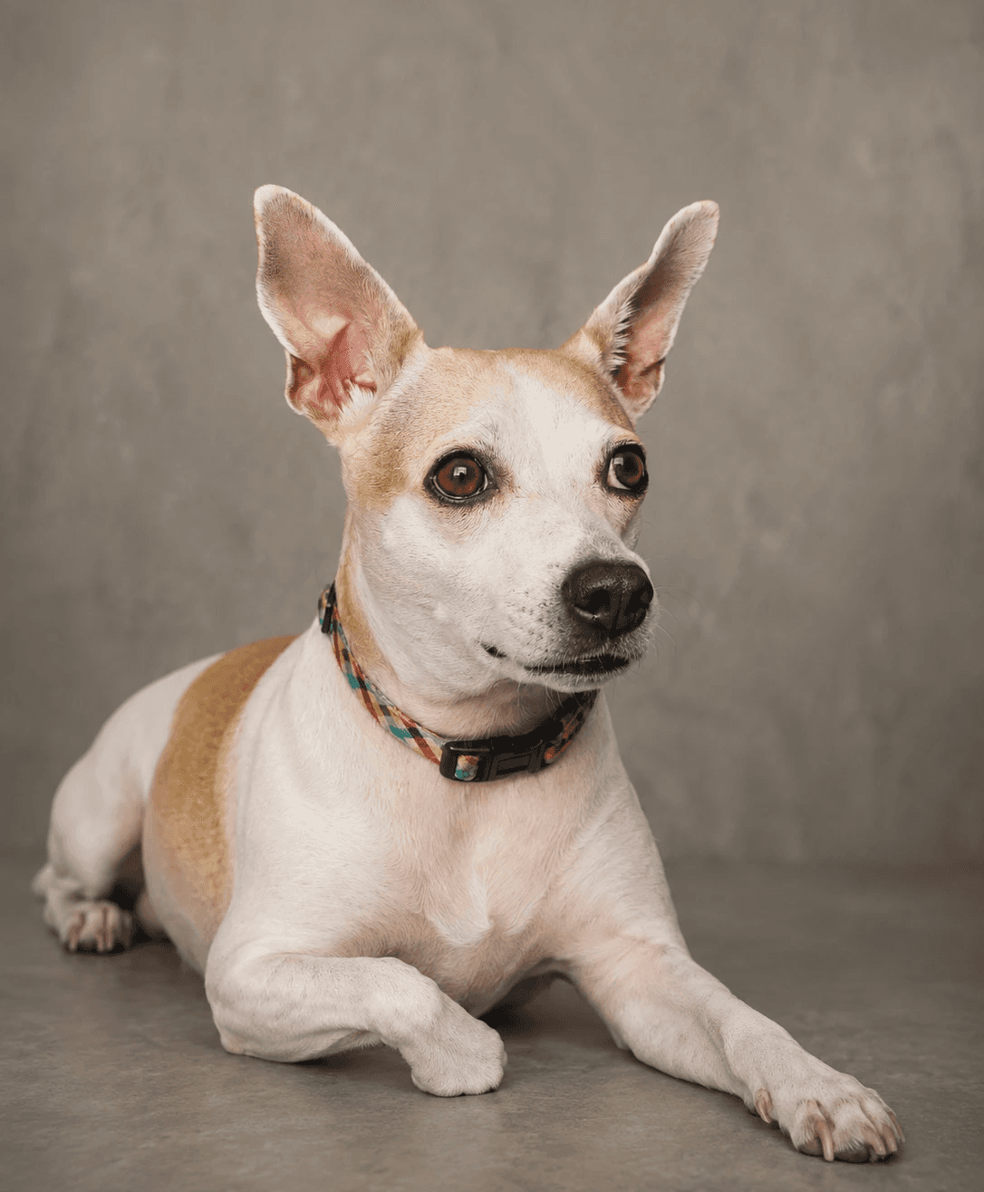 Profile image representing a member of the design team.