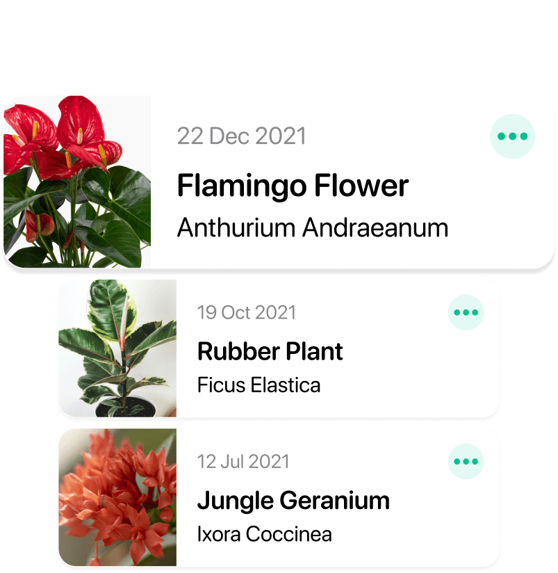 Plant tracking