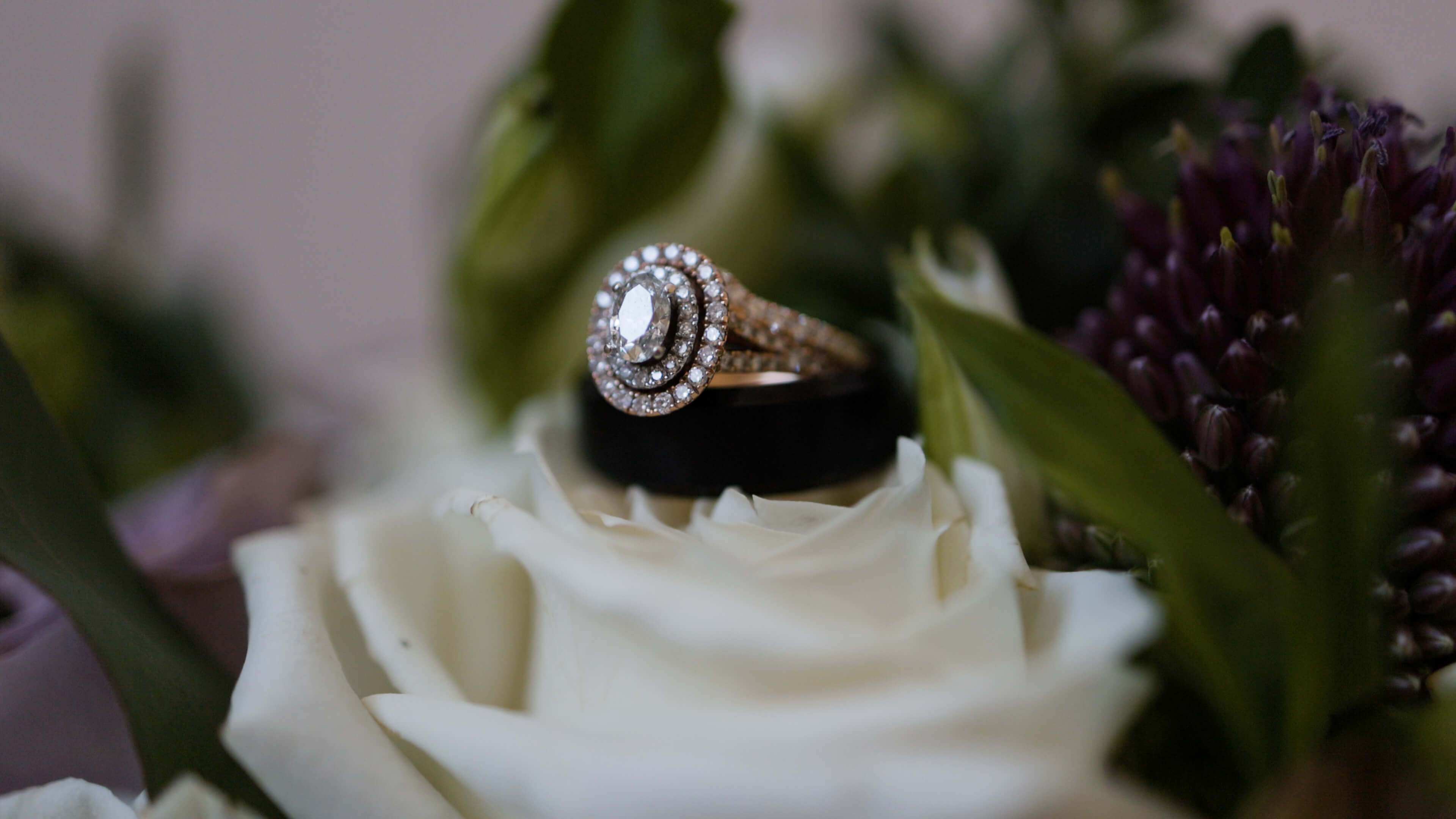 A large oval engagement ring sitting on a white rose