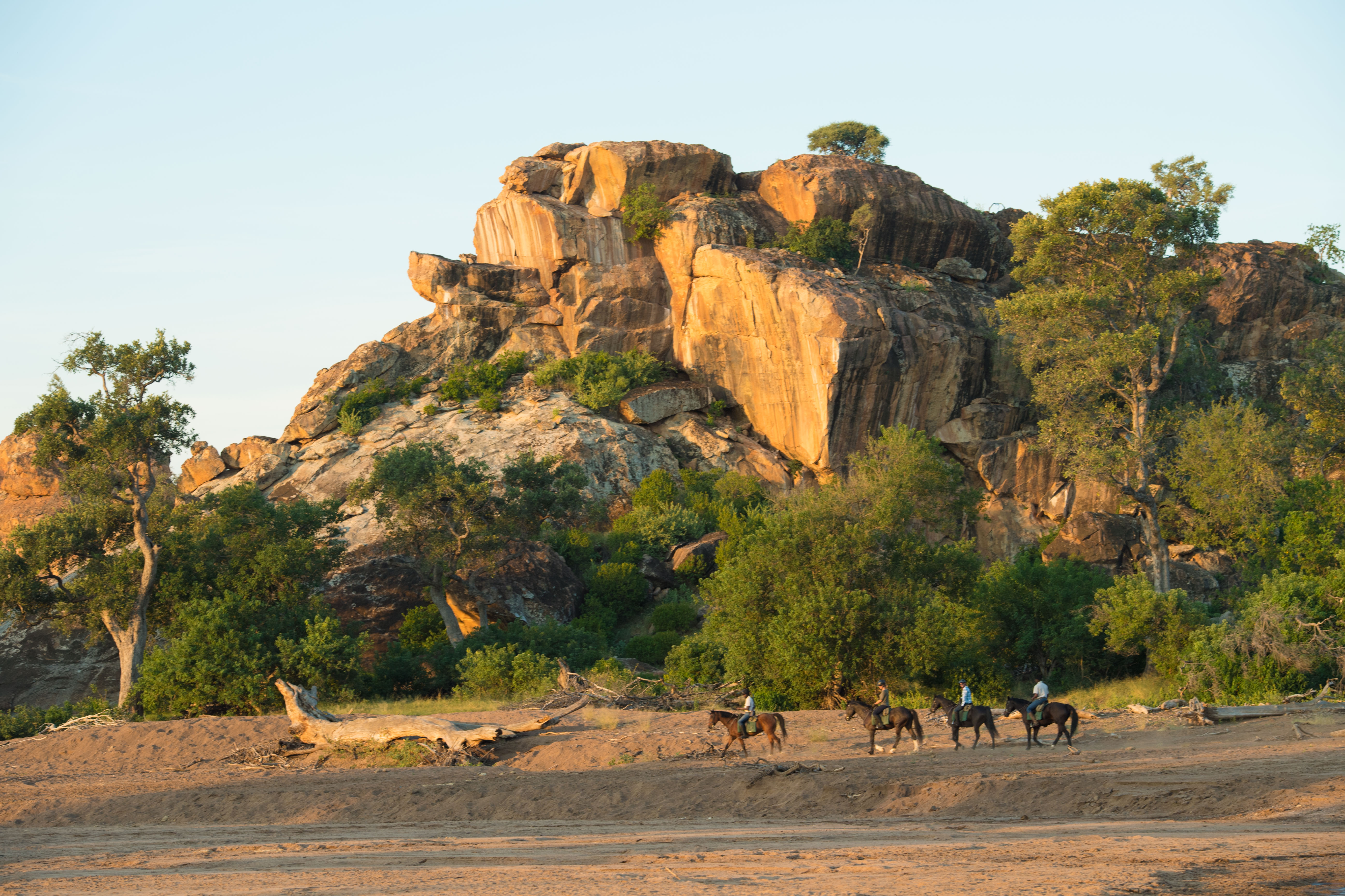 Ridsafari i Tuli, Botswana – fyra ryttare galopperar över en uttorkad flod med höga stenformationer i bakgrunden under ridresa med Africa by Horse.