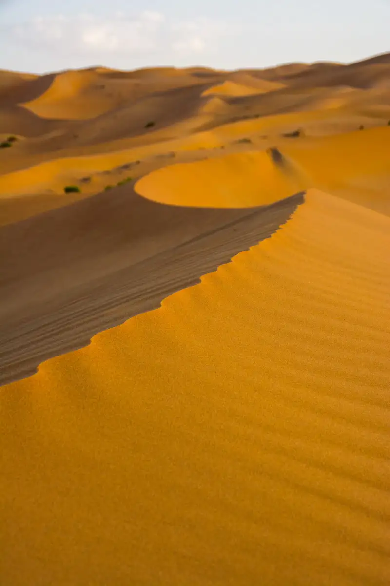 Rolling golden sand dunes with ripples and shadows under a pale sky at dusk or dawn.
