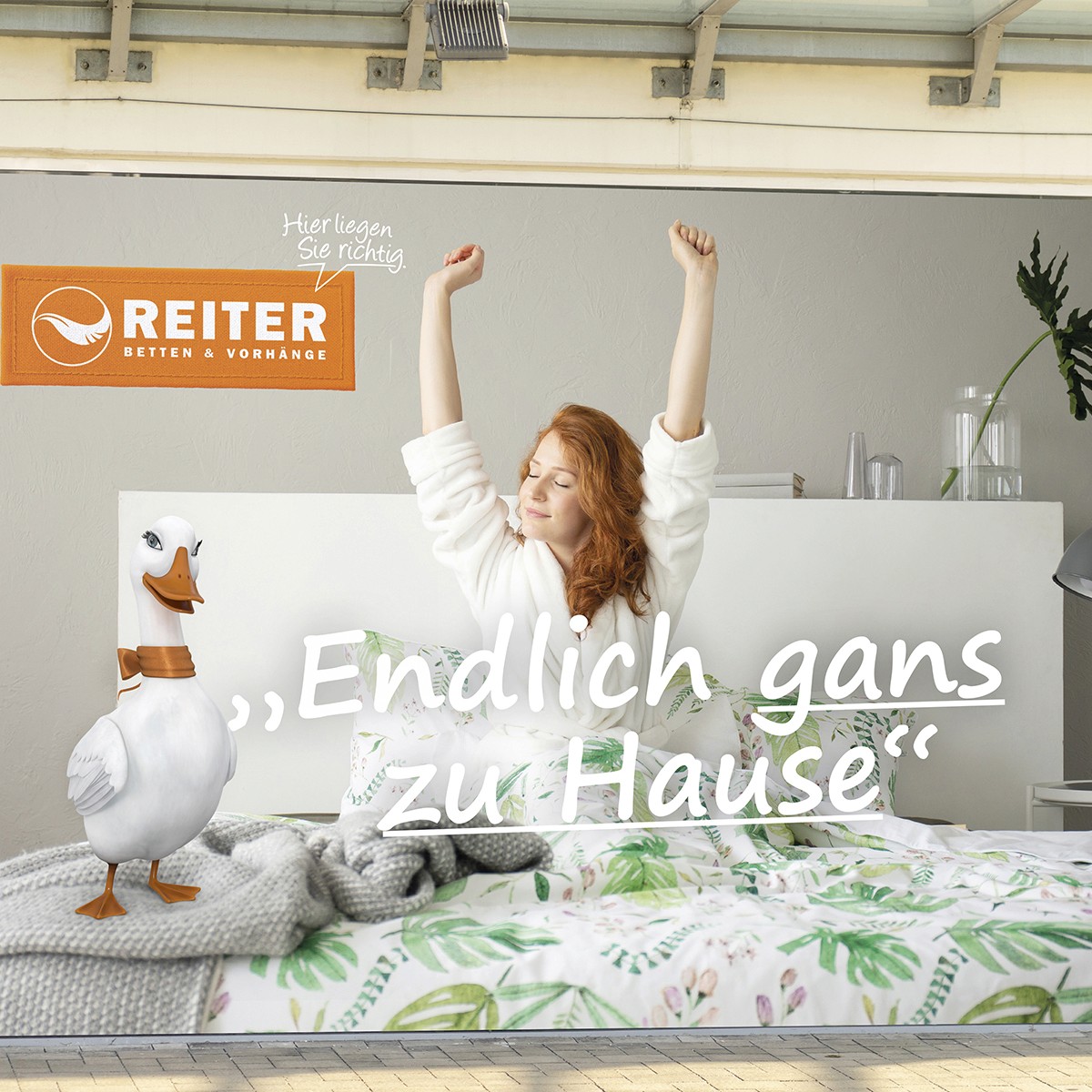 Betten Reiter Sujet: Endlich gans zu Hause
