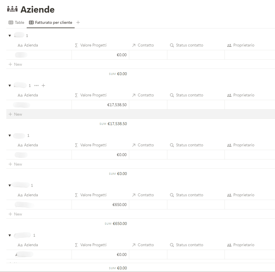 Vista del database aziende per tener monitorato il valore totale dei progetti per singola azienda