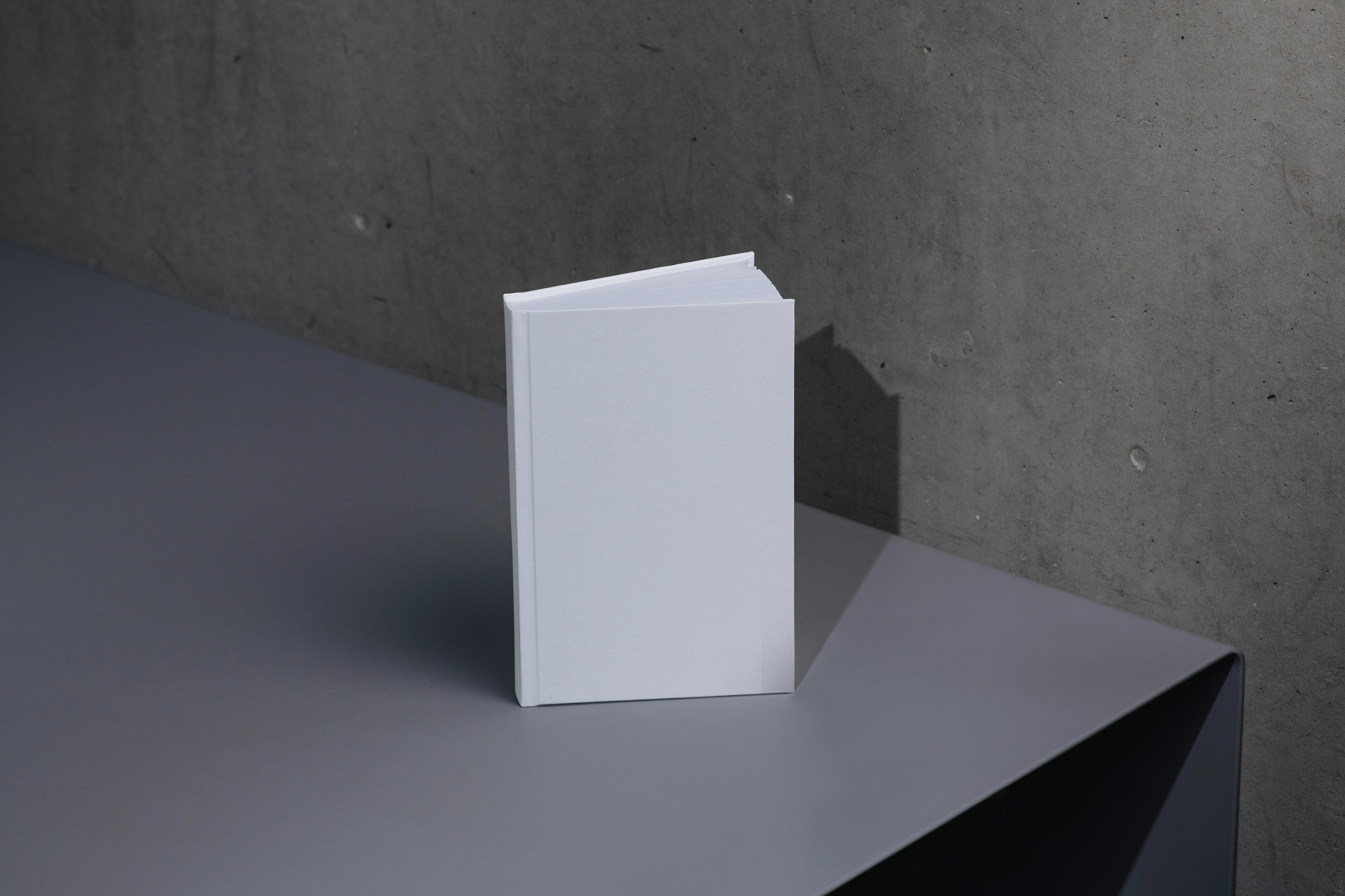 Noir brand guidelines document spread